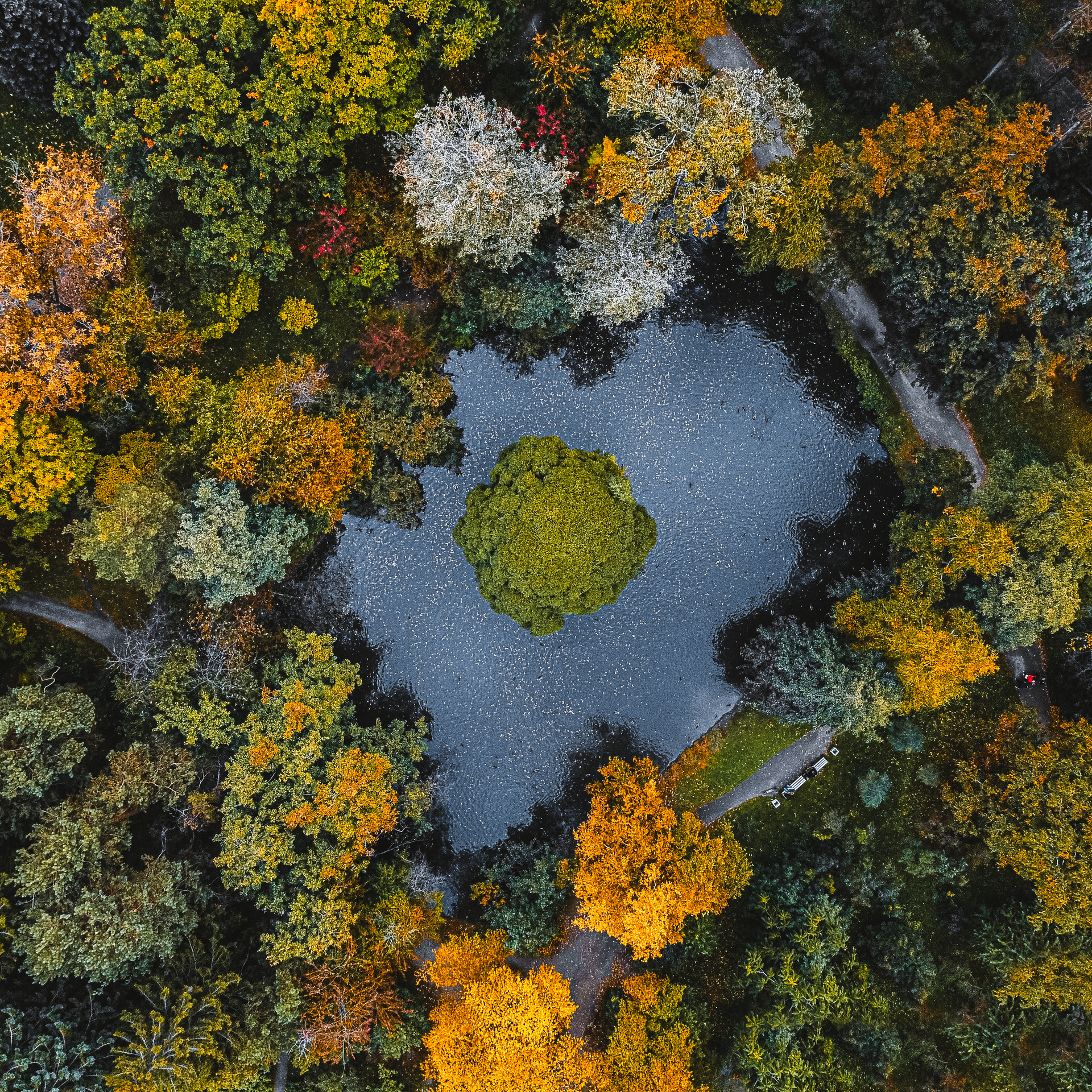 Мои фотографии с DJI MAvic Mini. Свадебный фотограф в Москве | Антон Матвеев