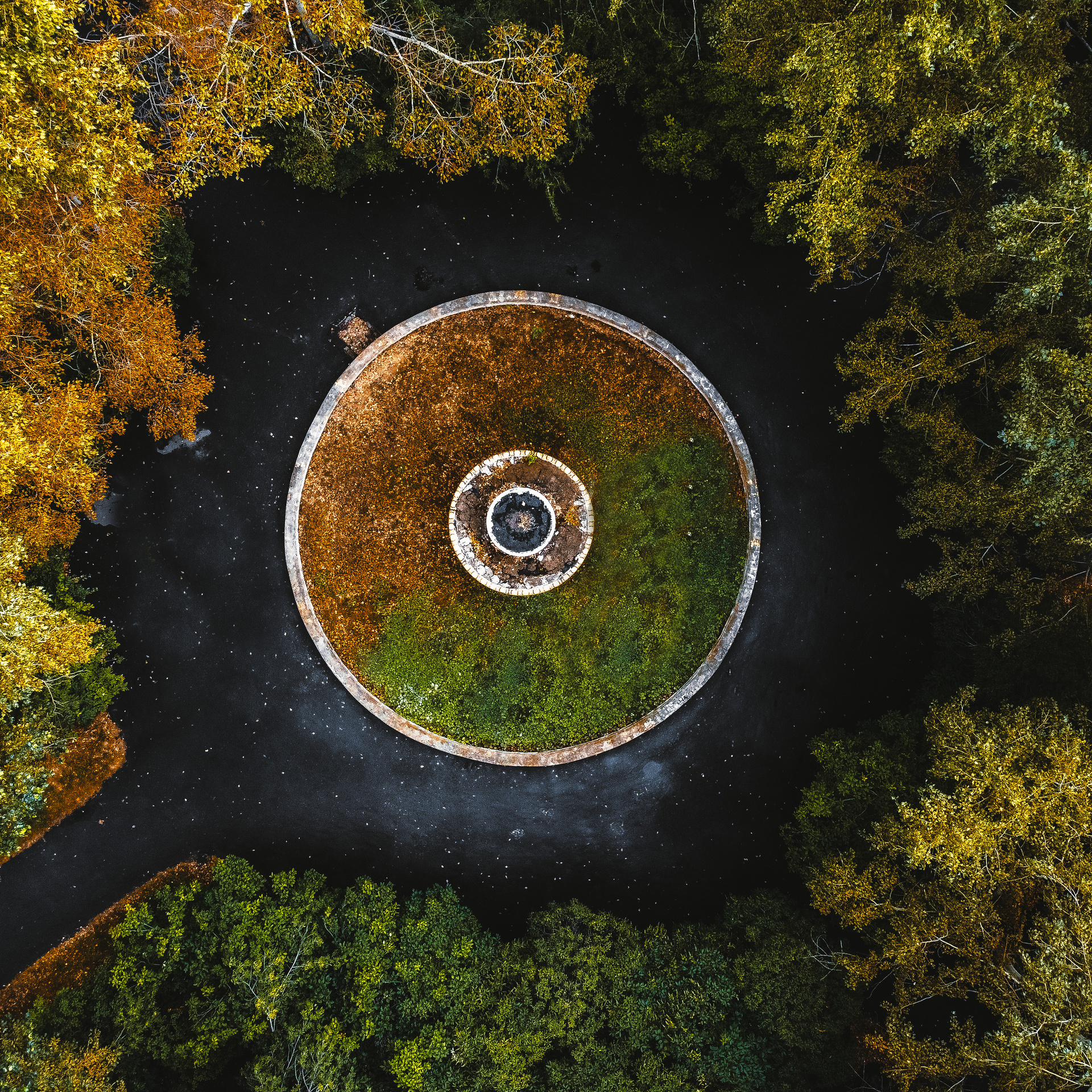 Мои фотографии с DJI MAvic Mini. Свадебный фотограф в Москве | Антон Матвеев