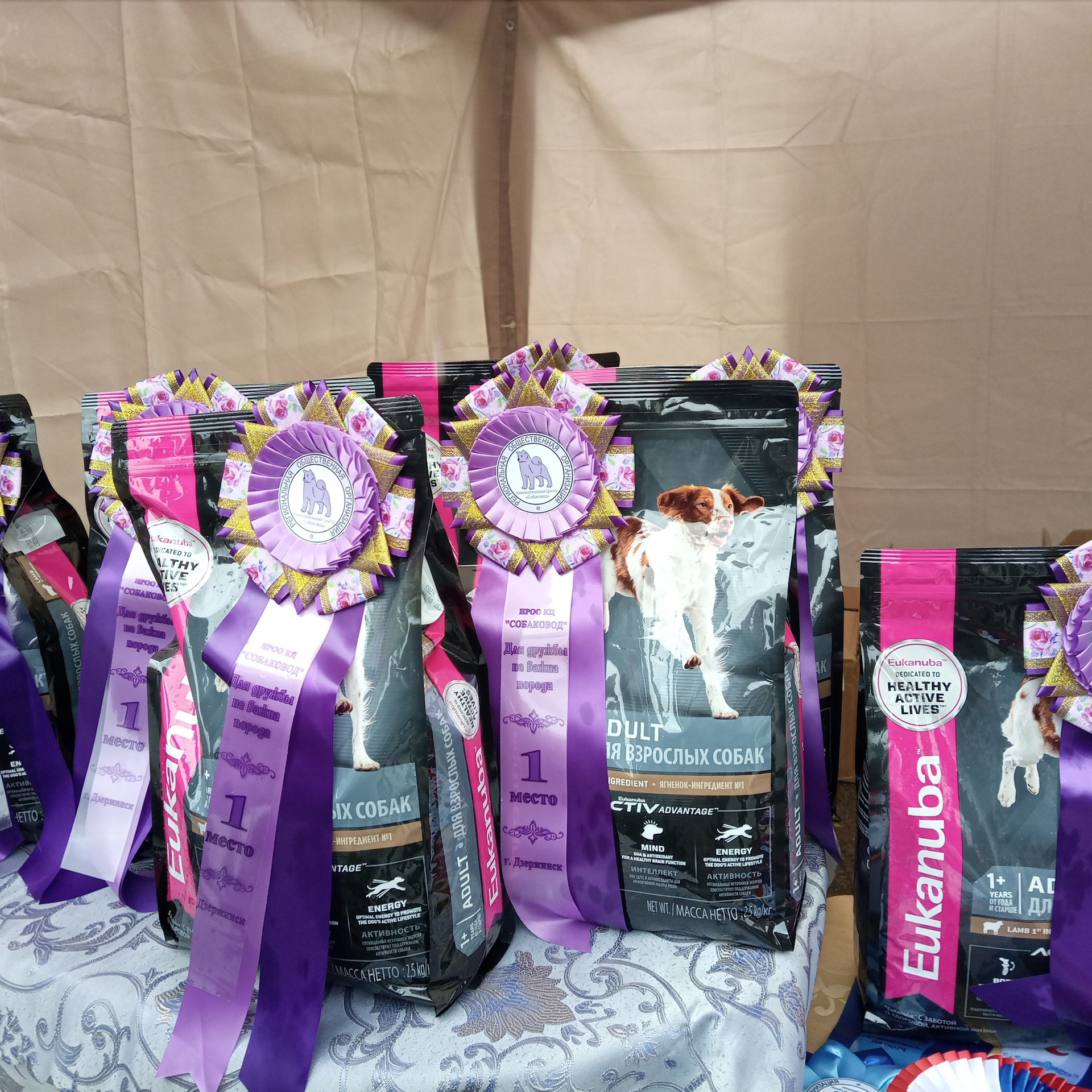 Третья выставка беспородных собак «Для дружбы не важна порода». НРОО КЦ "Собаковод"