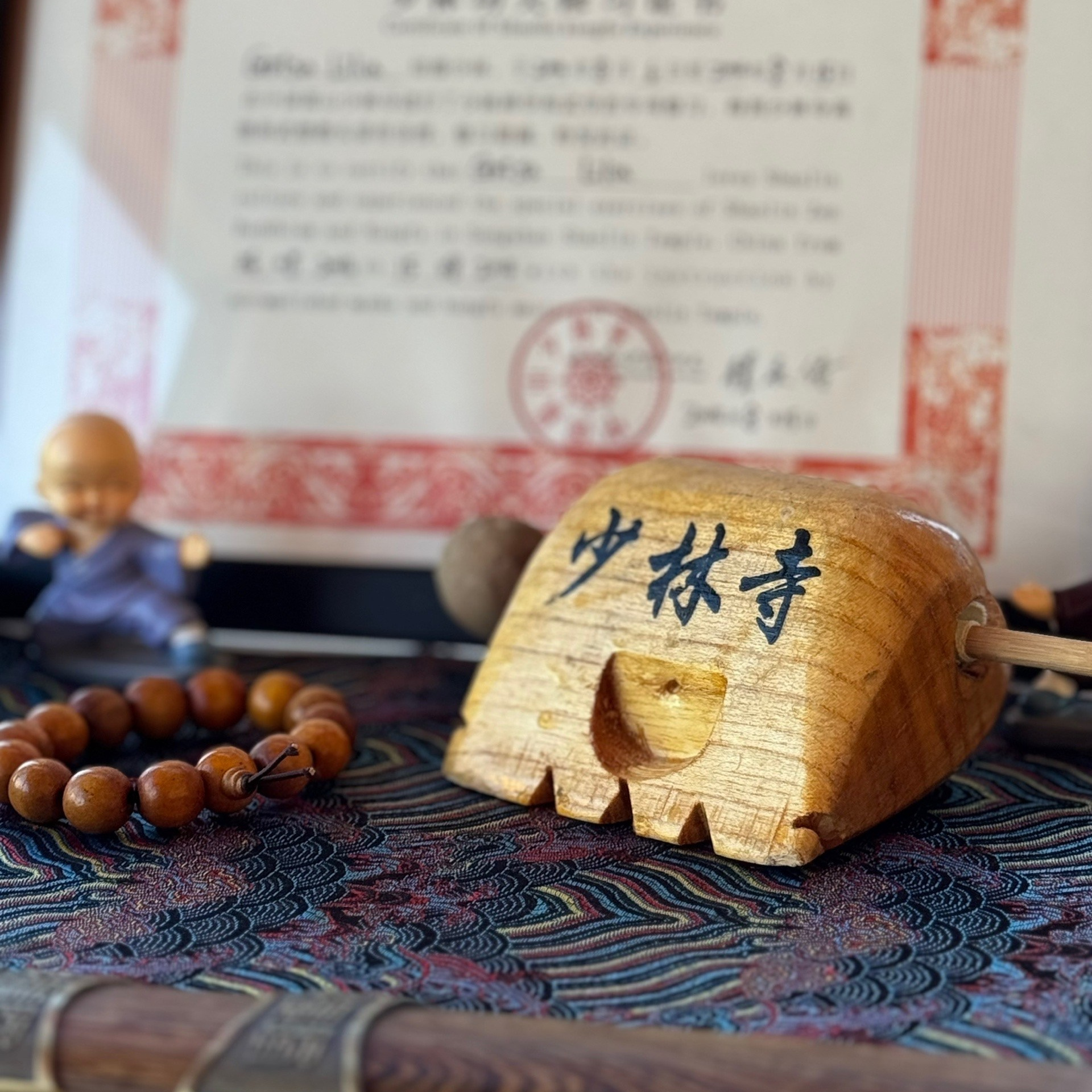 Сборы по гунфу Шаолиня в Петяярви 22–24 мая 2026 года. Лилия Гоца. Гунфу Шаолинь. Арт-фотография. Ретриты