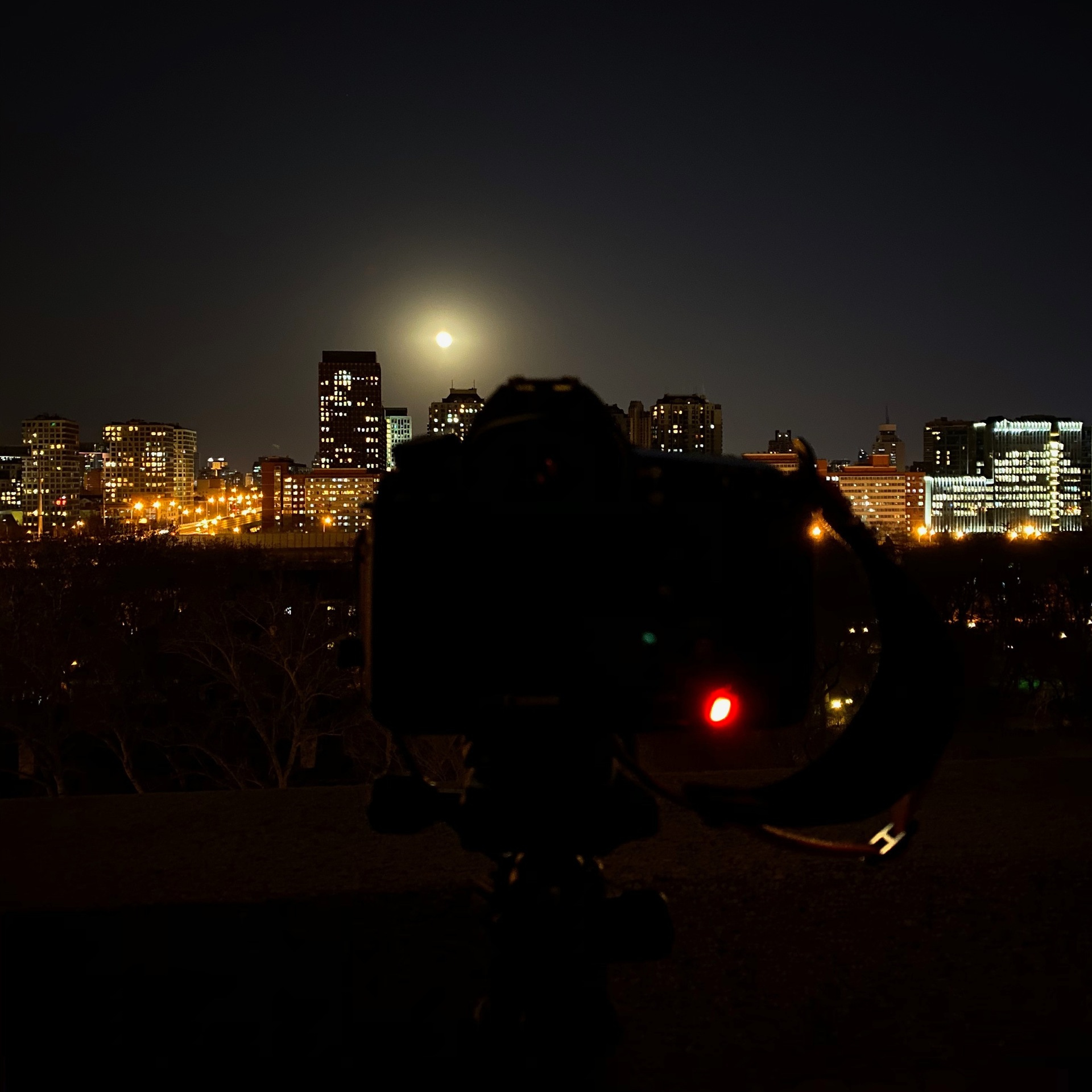 Полнолуние в Пекине. Фотограф Ольга Филимонова