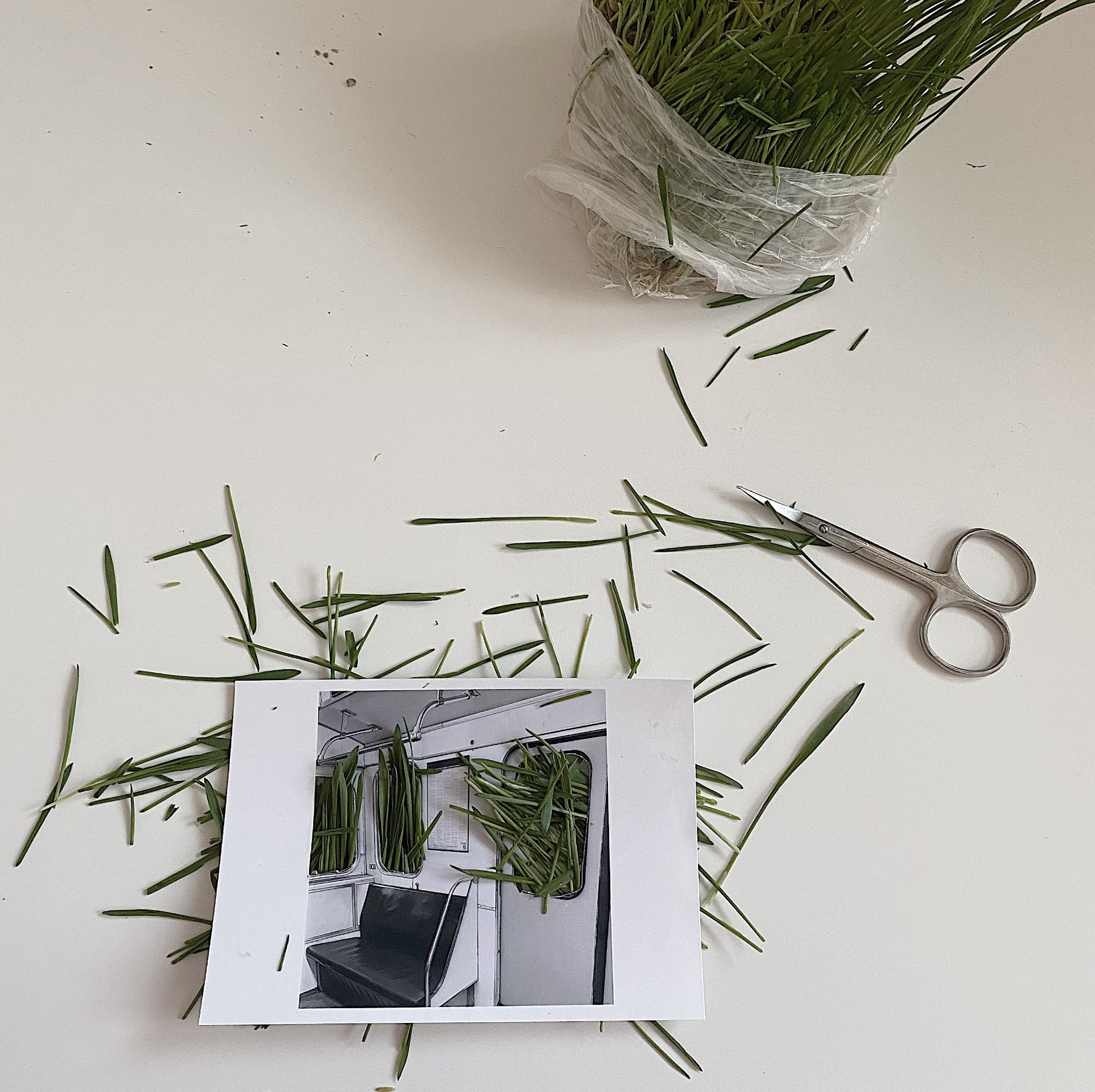 Мастер-класс. Маша Иванова —