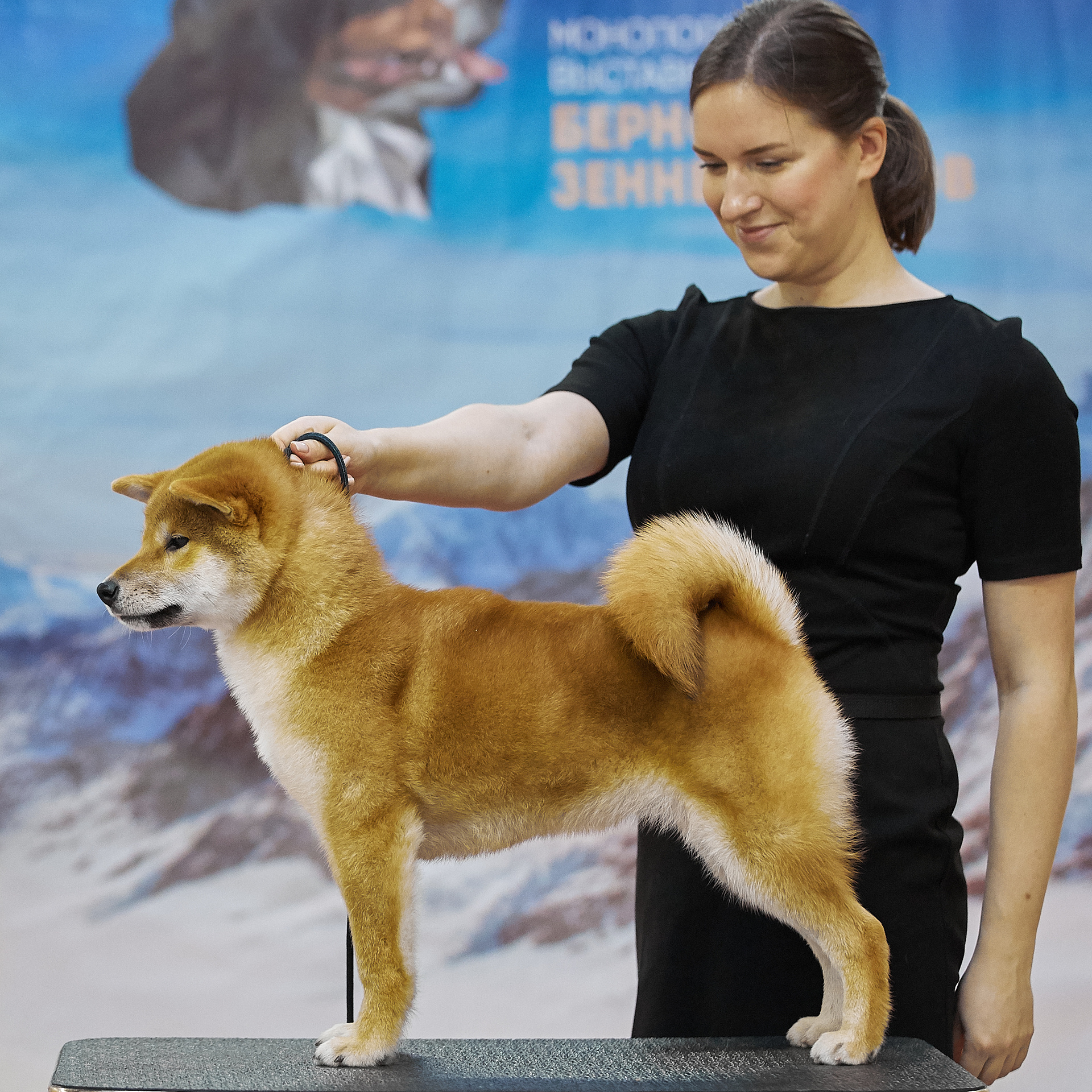 Локи * SHIOMARU EVER DREAM