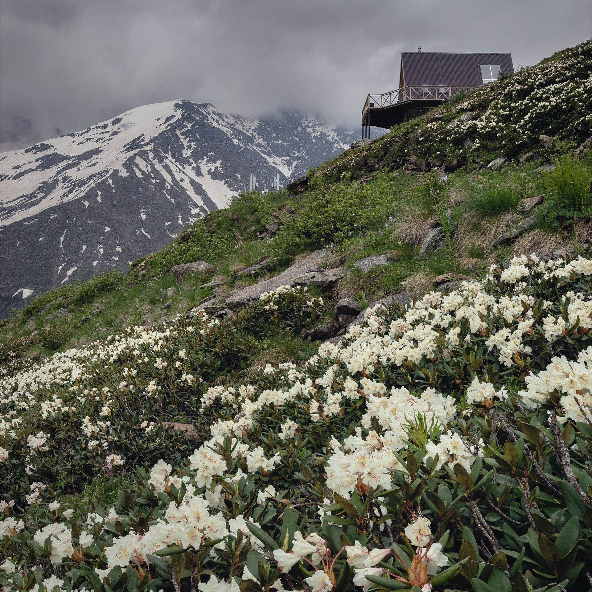Приэльбрусье — Домбай 05.07.25 — 12.07.25. Дмитрий Купрацевич профессиональный пейзажный и travel-фотограф
