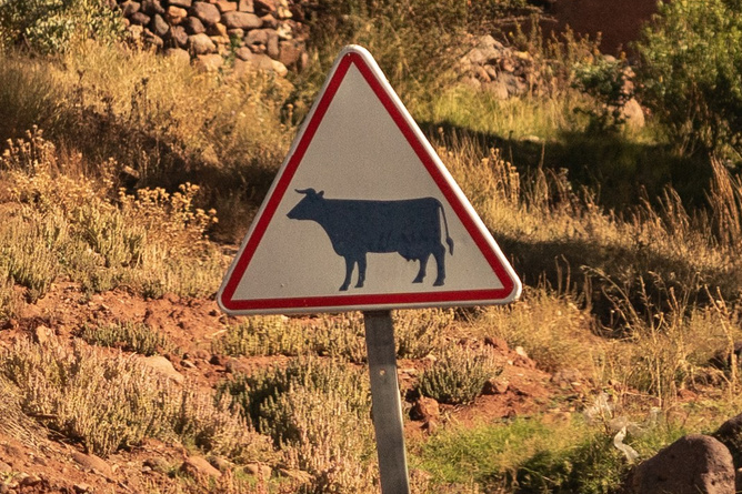 Марокко. Илья Варин — Фотограф Москва, Тверь