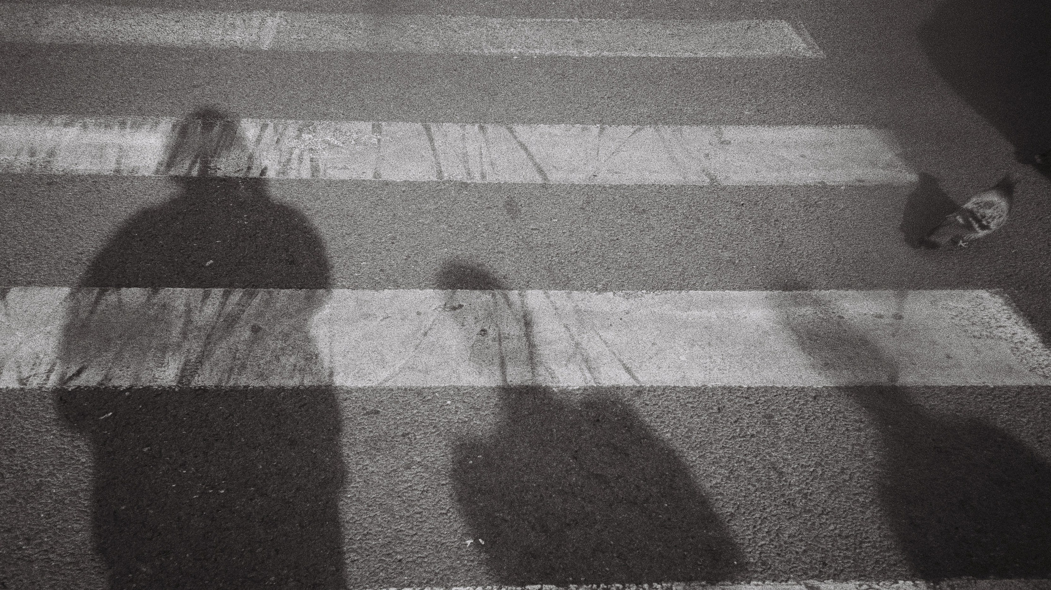 Contacts. Lifestyle, street and event photography