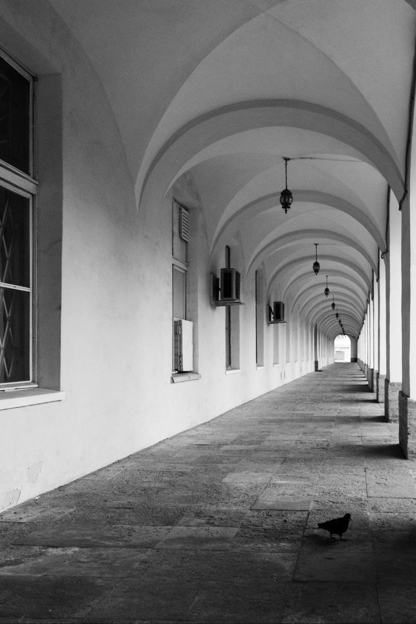 Фотограф Твердохлебова Дарья, г. Санкт-Петербург