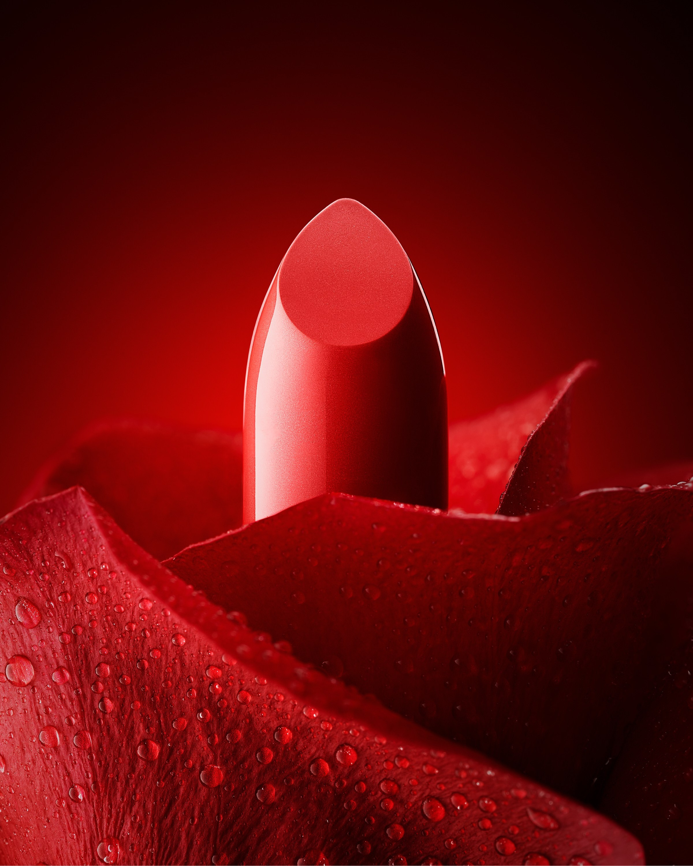 Portfolio Award 2026