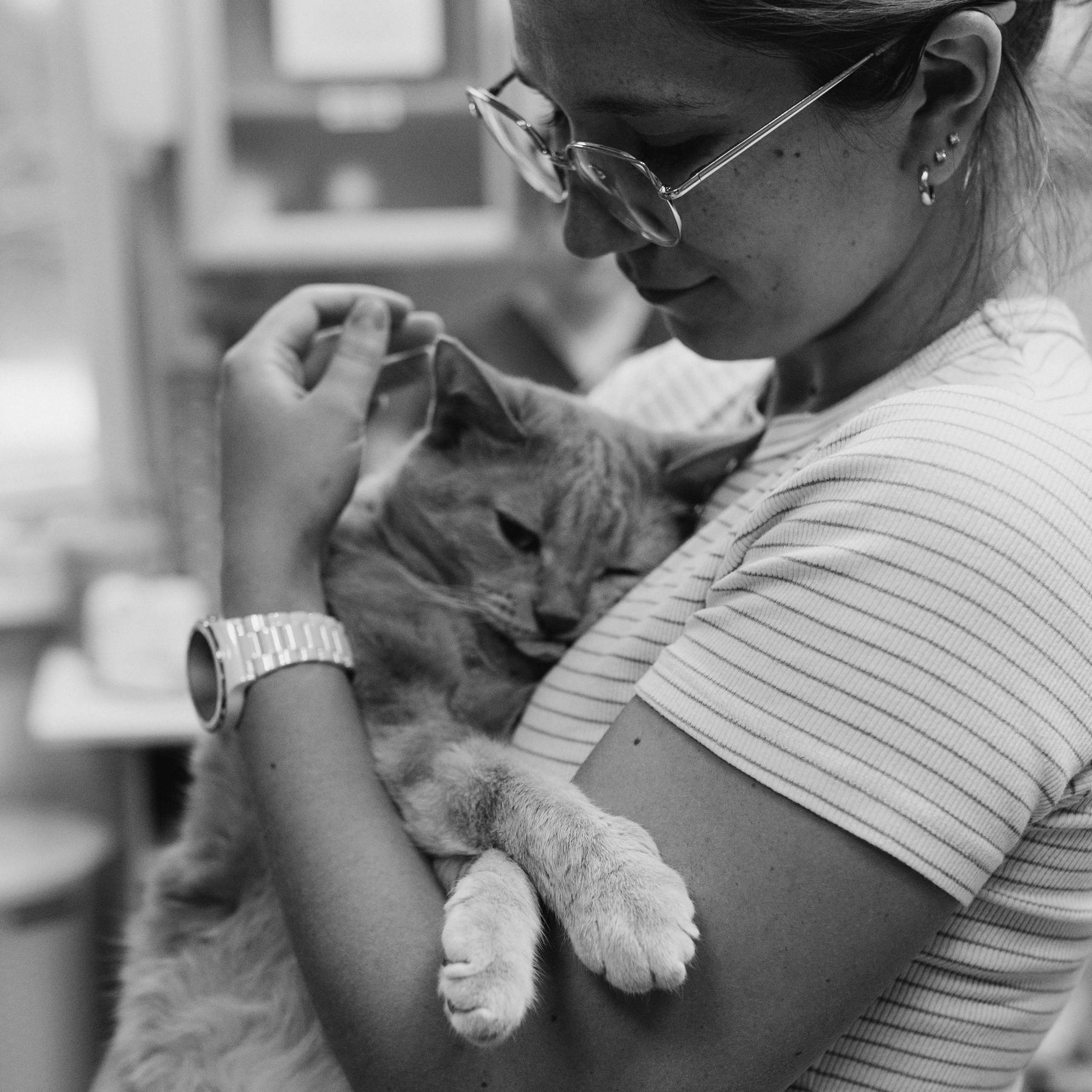 VetLife. Татьяна Афонина | Фотограф