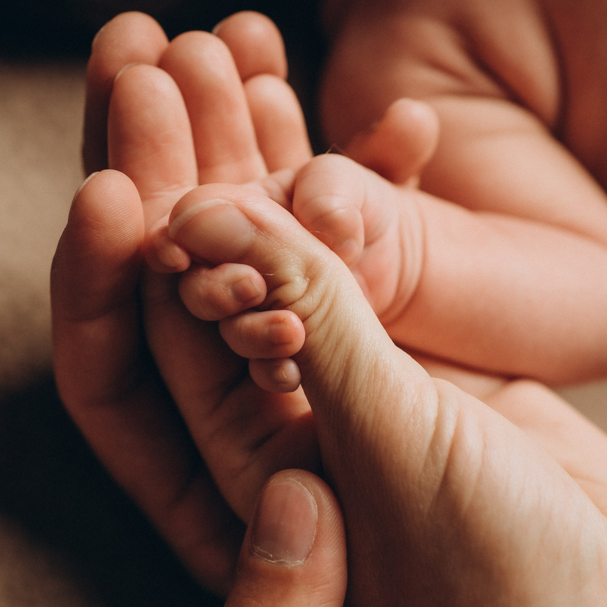 Прайс. Ньюборн и детский фотограф в Москве Шигина Марина