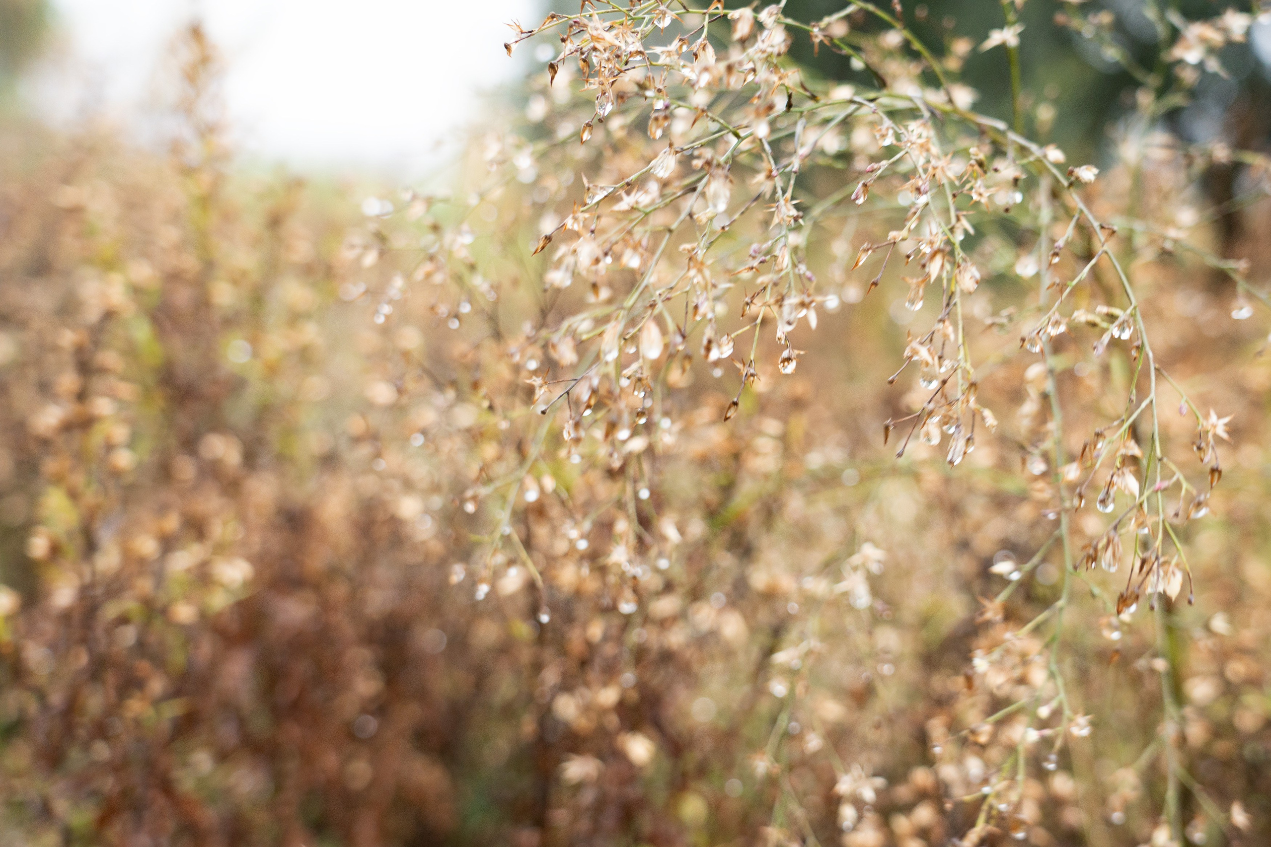 Жанна Каримова. ARTEXPOPHOTO