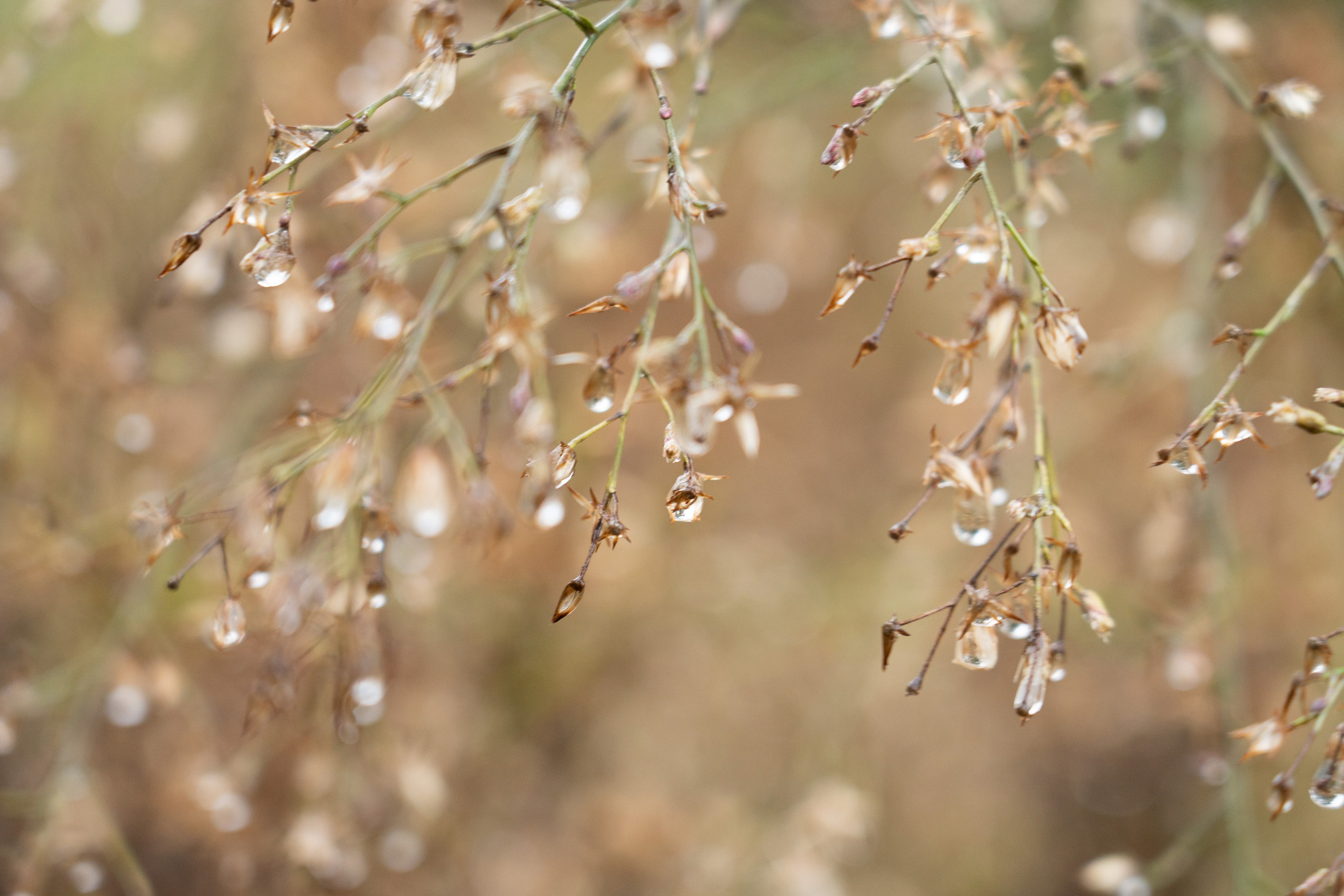 Жанна Каримова. ARTEXPOPHOTO