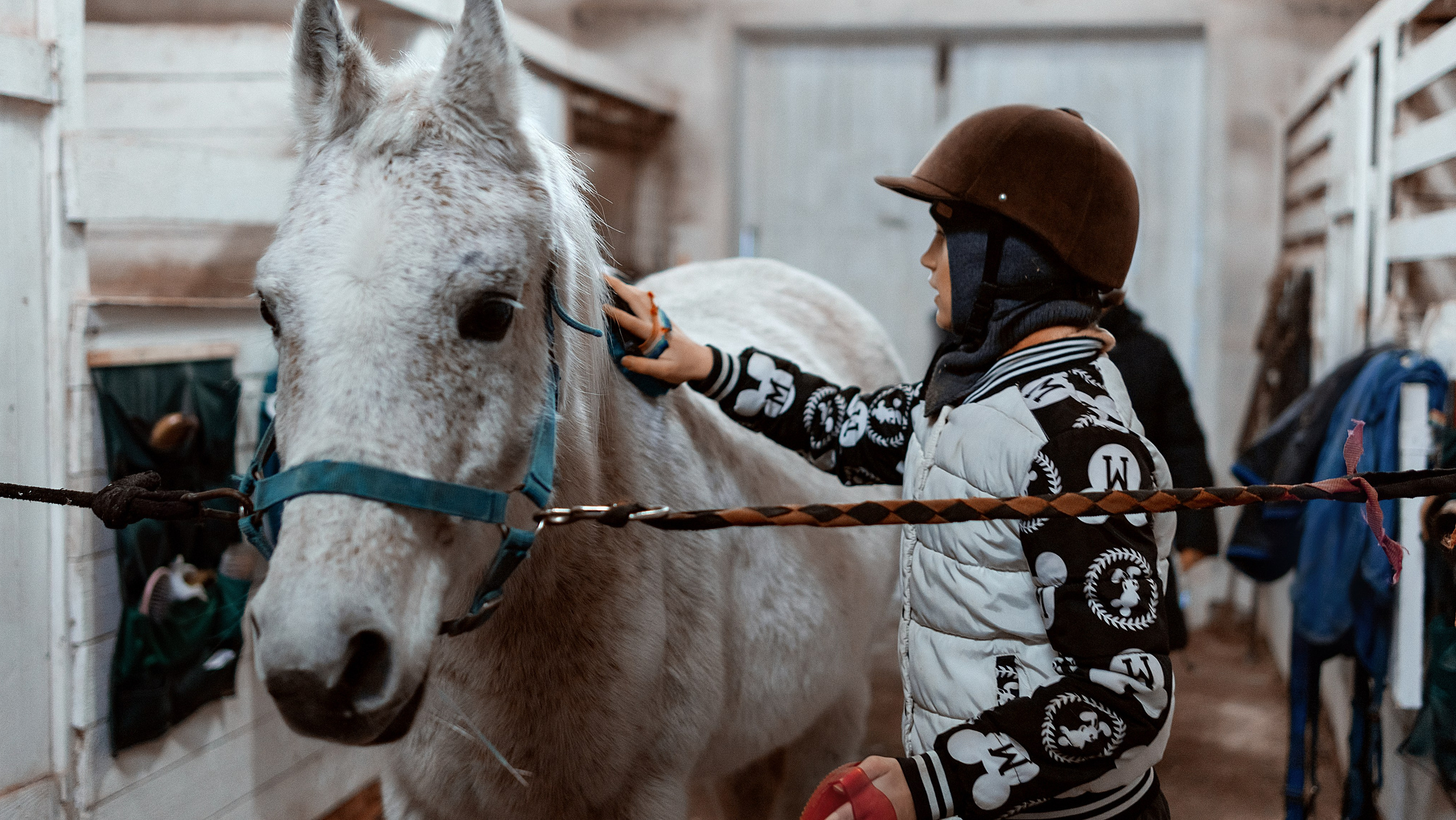 Конноспортивная школа Добрый конь город Белоозерский