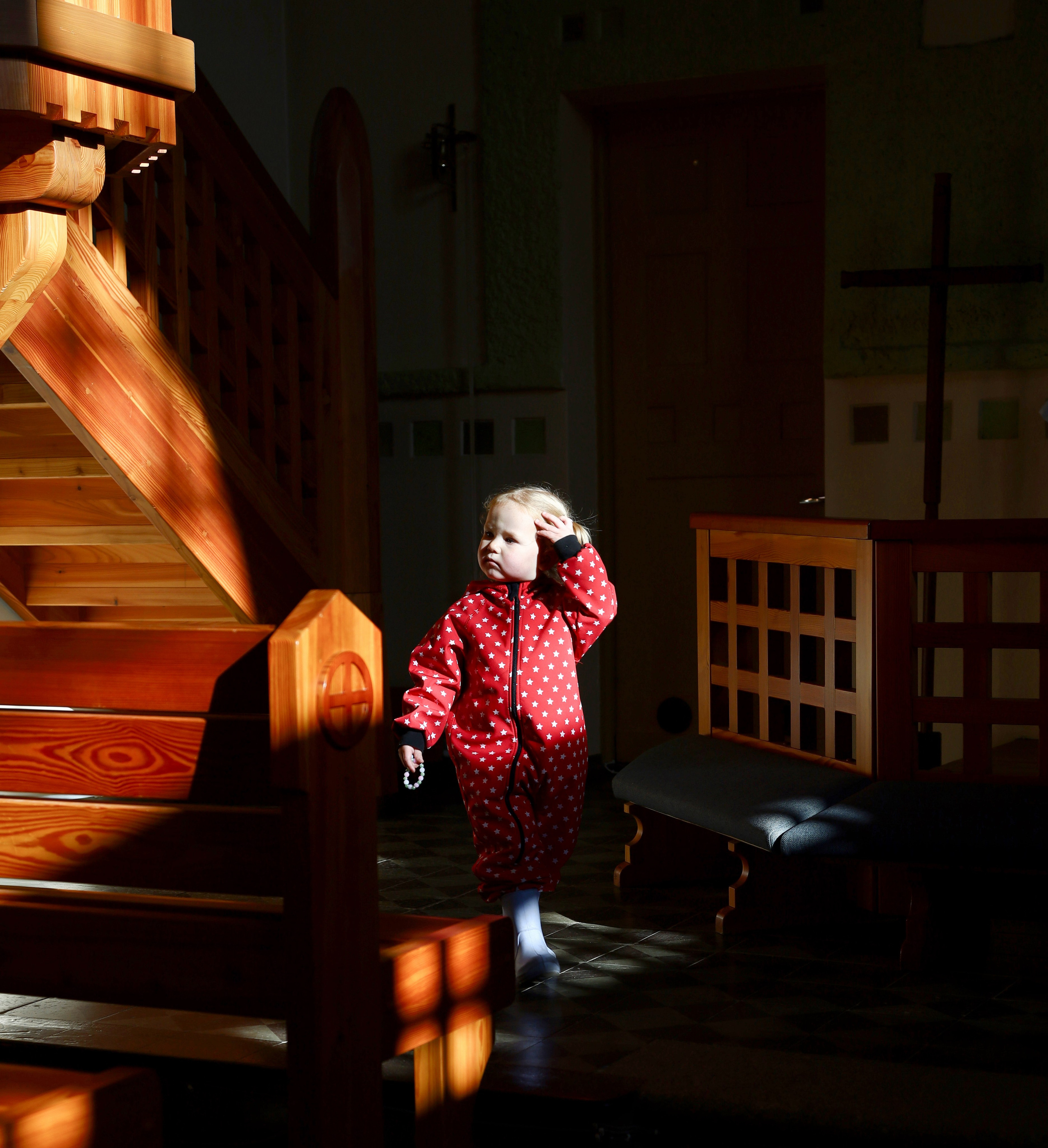 Услуги. СПБНЛО