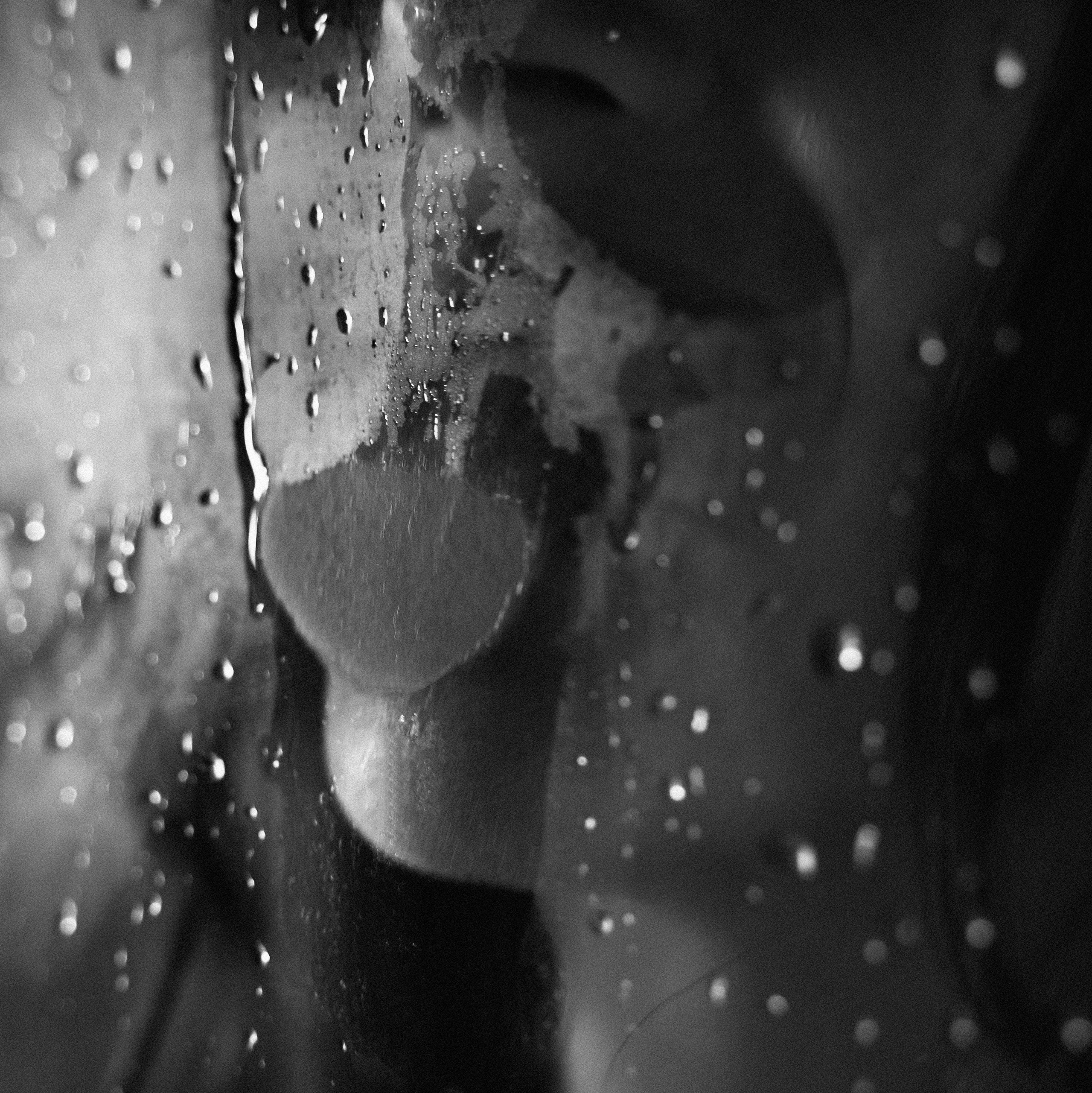 Фотограф Ирина Чистякова