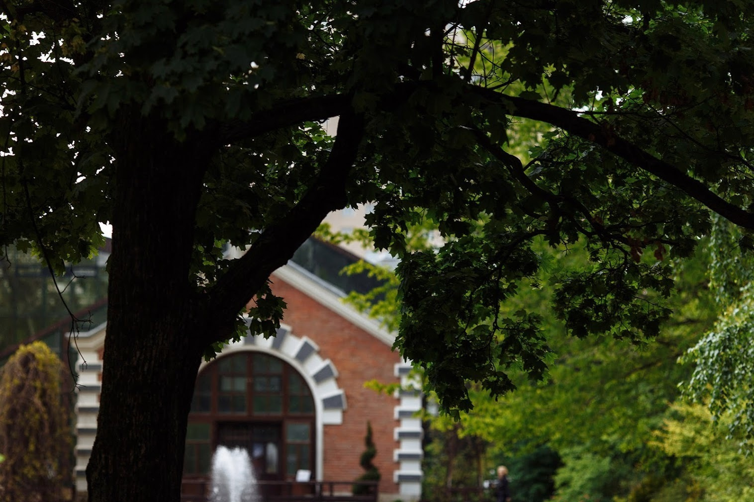 Иван и Мария. 02 июня 2016. Анонс свадьбы. Фотограф Игорь Цаплин