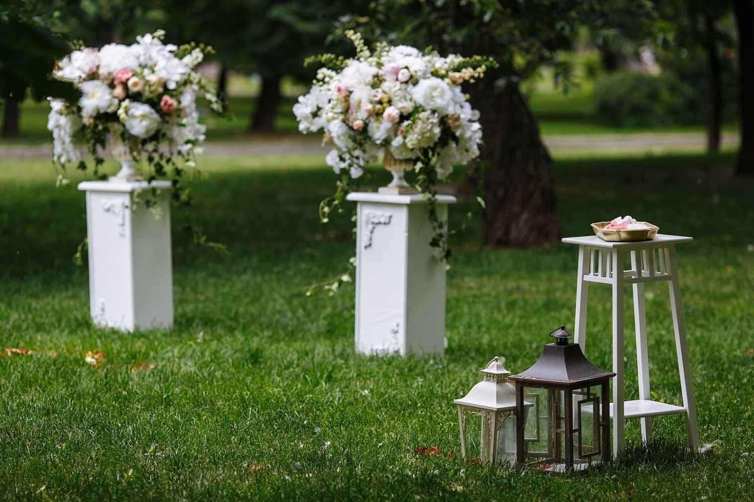 Дмитрий и Ксения. 18 июня 2016. Анонс. Фотограф Игорь Цаплин