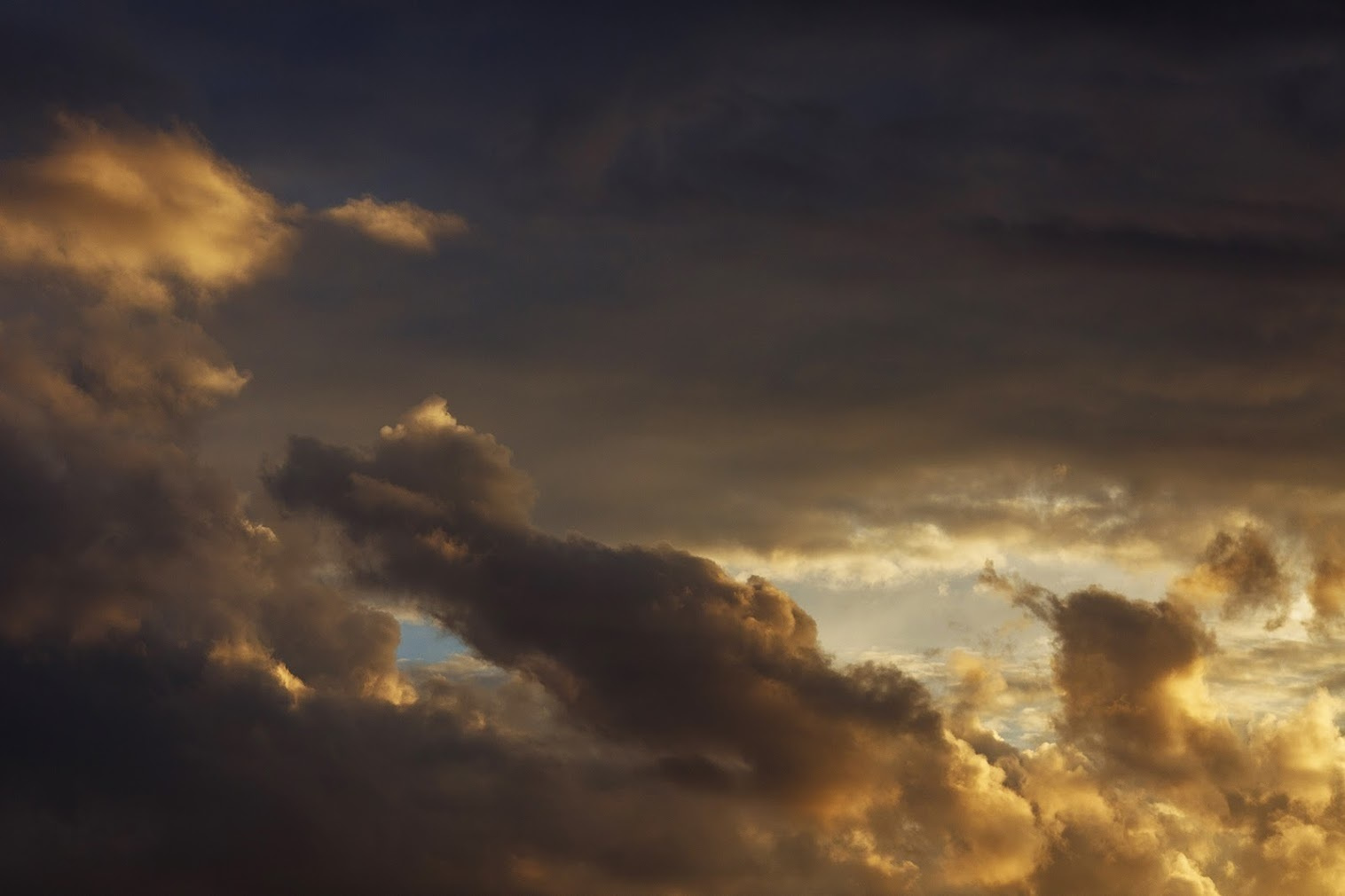 01 июля 2017. Алексей и Ксения. Анонс свадьбы. Фотограф Игорь Цаплин