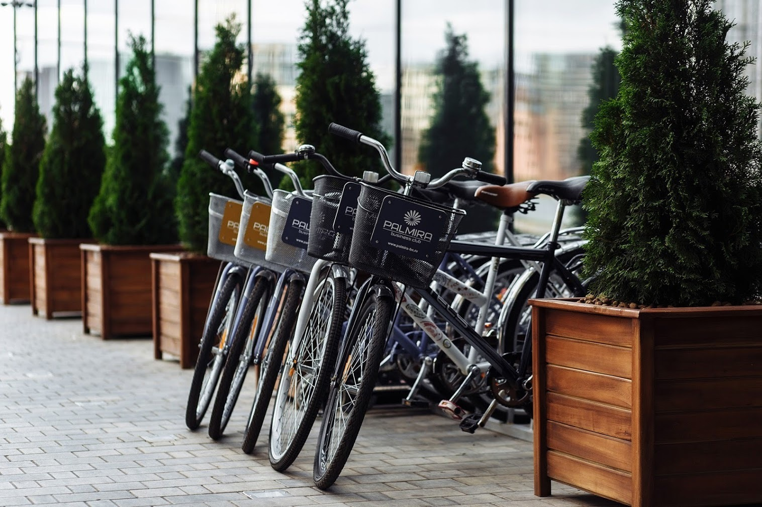 Даша и Дима. 12 августа 2017. Анонс свадьбы. Фотограф Игорь Цаплин