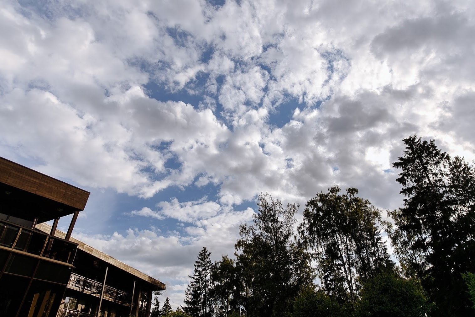Алина и Андрей. 20 июля 2017. Анонс свадьбы. Фотограф Игорь Цаплин