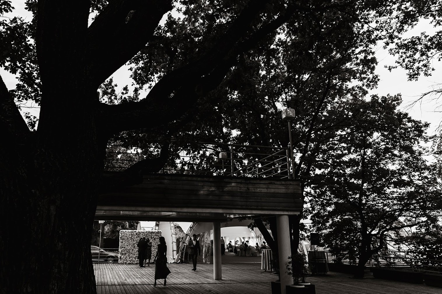 01 июля 2017. Алексей и Ксения. Анонс свадьбы. Фотограф Игорь Цаплин