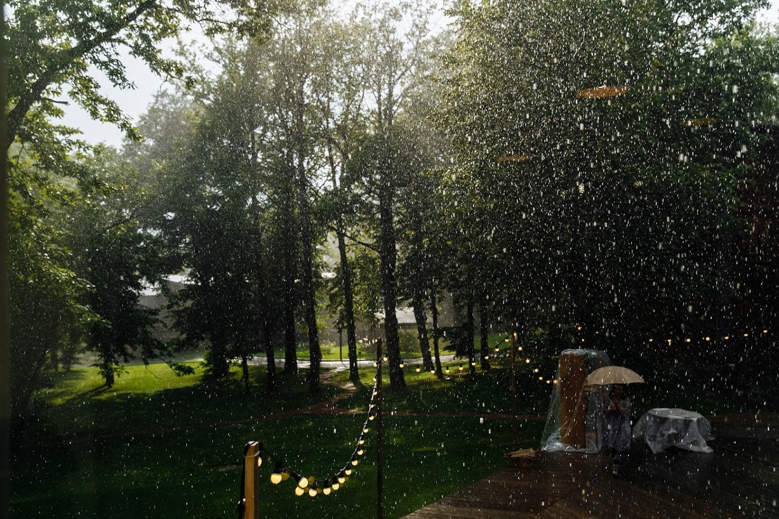 Максим и Даша. 30 июля 2017. Анонс свадьбы. Фотограф Игорь Цаплин