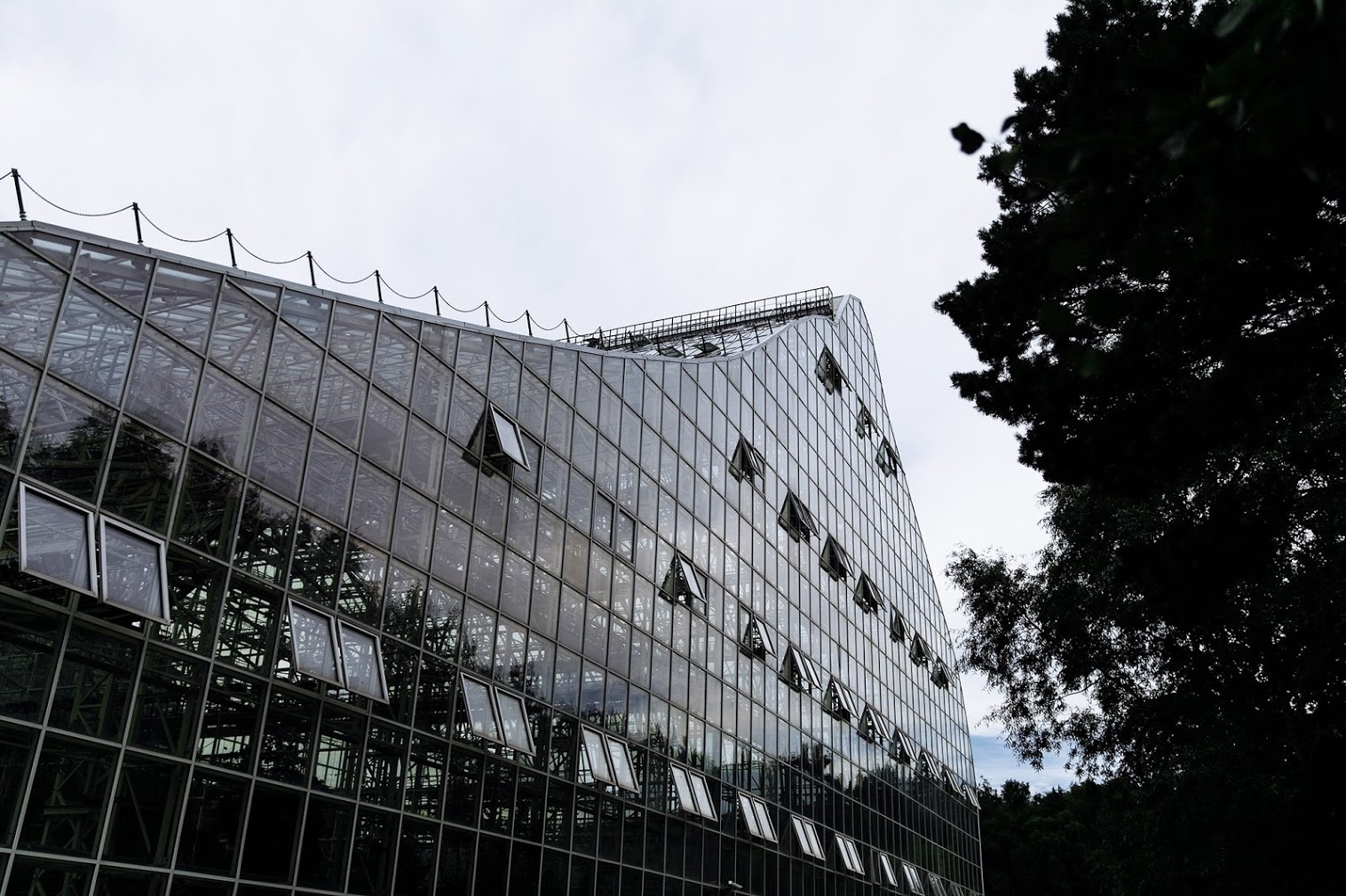 22 июля 2017. Ксения и Дмитрий. Анонс свадьбы. Фотограф Игорь Цаплин