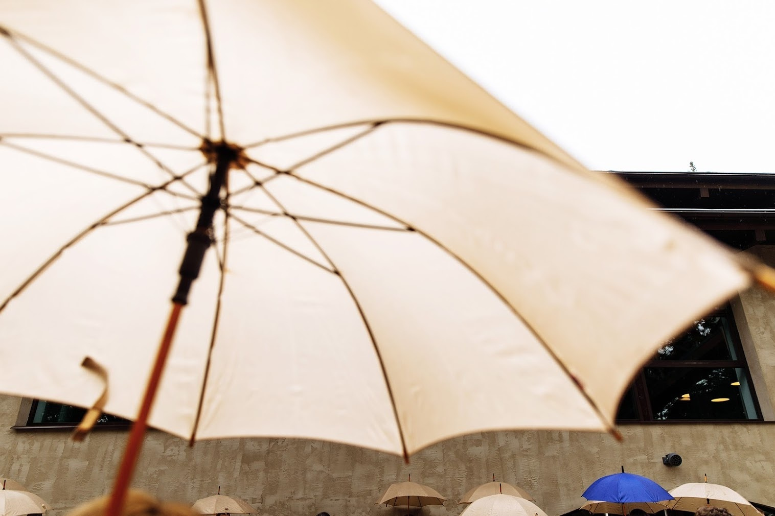 Максим и Даша. 30 июля 2017. Анонс свадьбы. Фотограф Игорь Цаплин