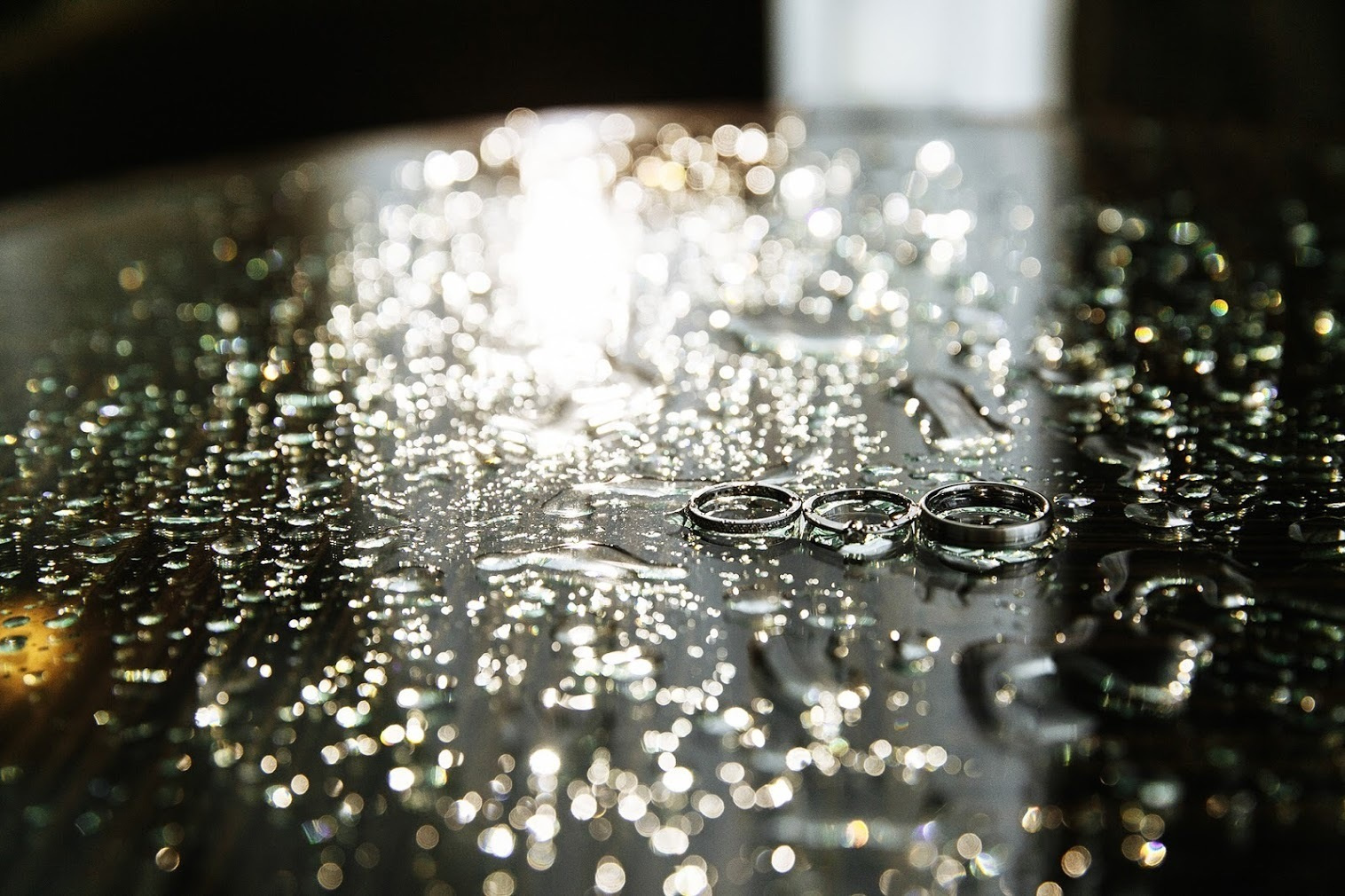 Дмитрий и Ксения. 18 июня 2016. Анонс. Фотограф Игорь Цаплин