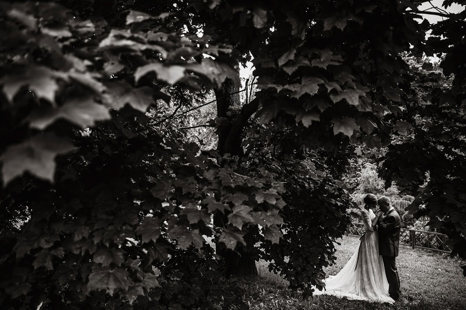 22 июля 2017. Ксения и Дмитрий. Анонс свадьбы. Фотограф Игорь Цаплин