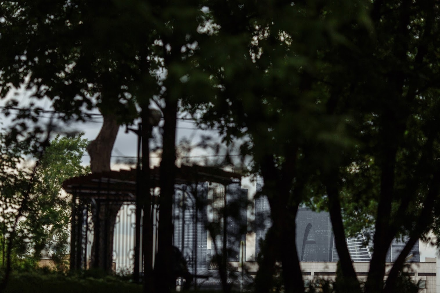 Моя большая семья. Анна и Владимир. 10 июня 2017. Анонс свадьбы. Фотограф Игорь Цаплин