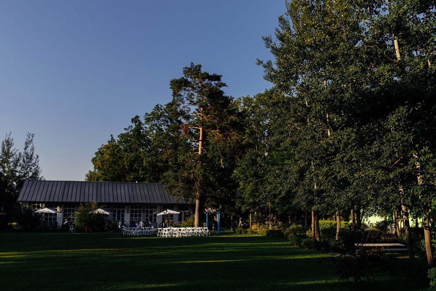 Даша и Дима. 12 августа 2017. Анонс свадьбы. Фотограф Игорь Цаплин