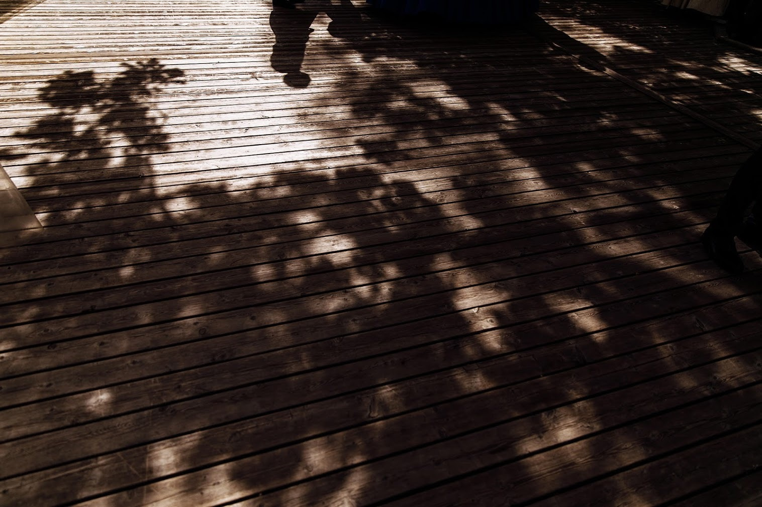 01 июля 2017. Алексей и Ксения. Анонс свадьбы. Фотограф Игорь Цаплин