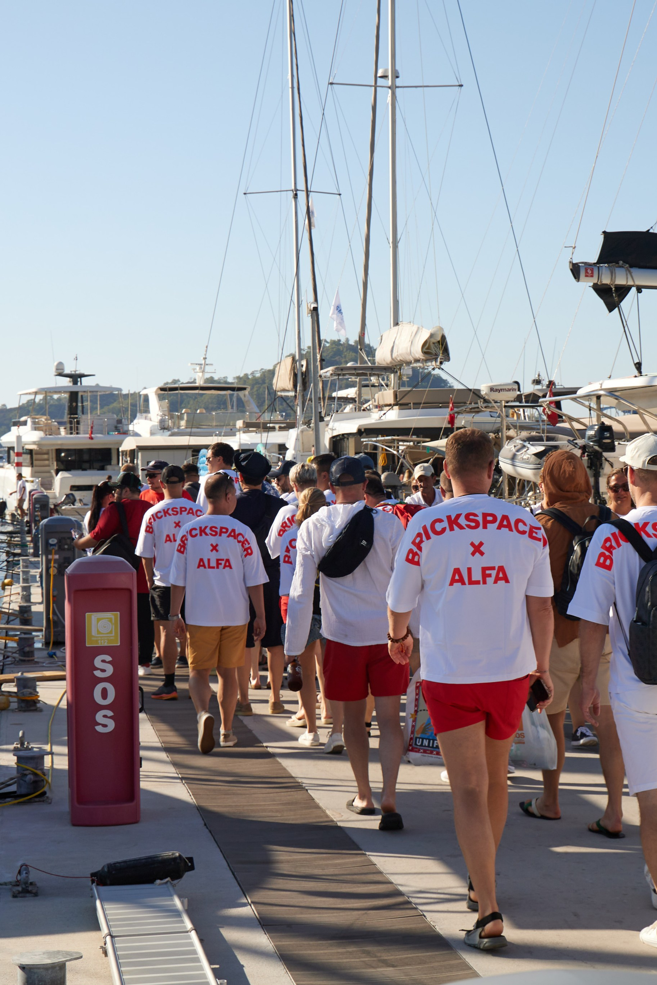 Альфа Регата | Турция