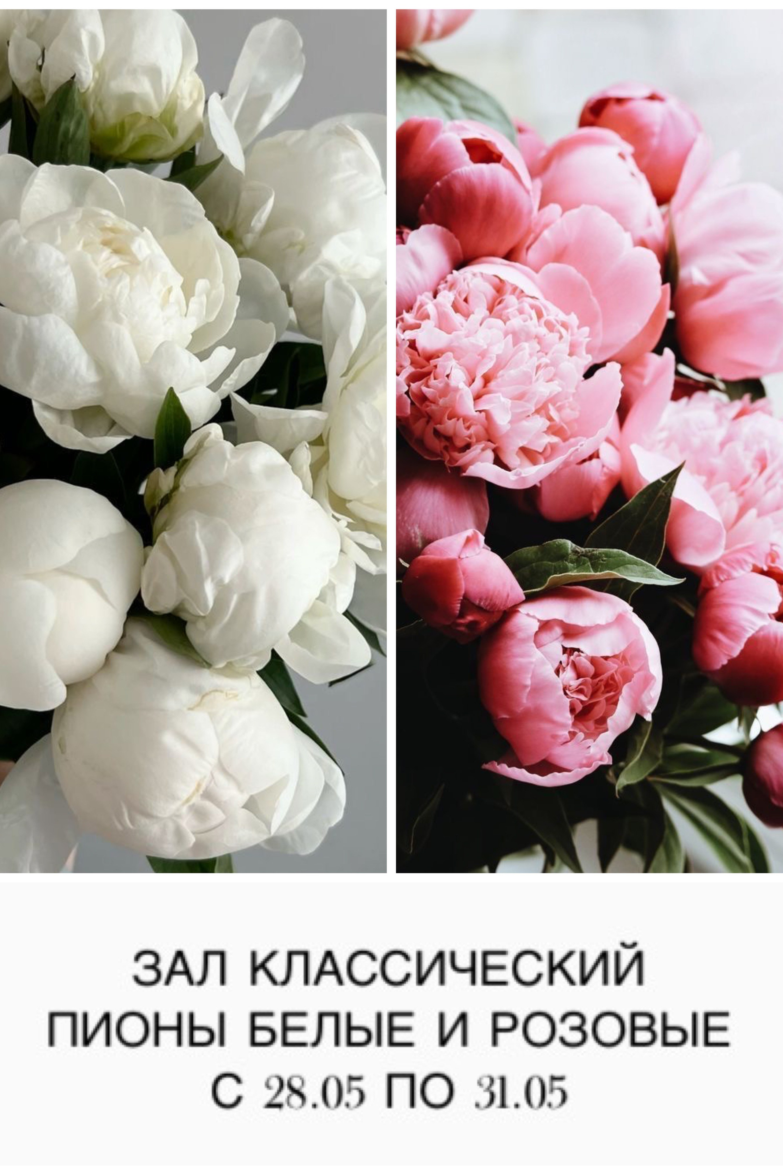 НОВАЯ ЛОКАЦИЯ В ЗАЛЕ ЛОФТ. «Moon» — фотостудия в Красноярске
