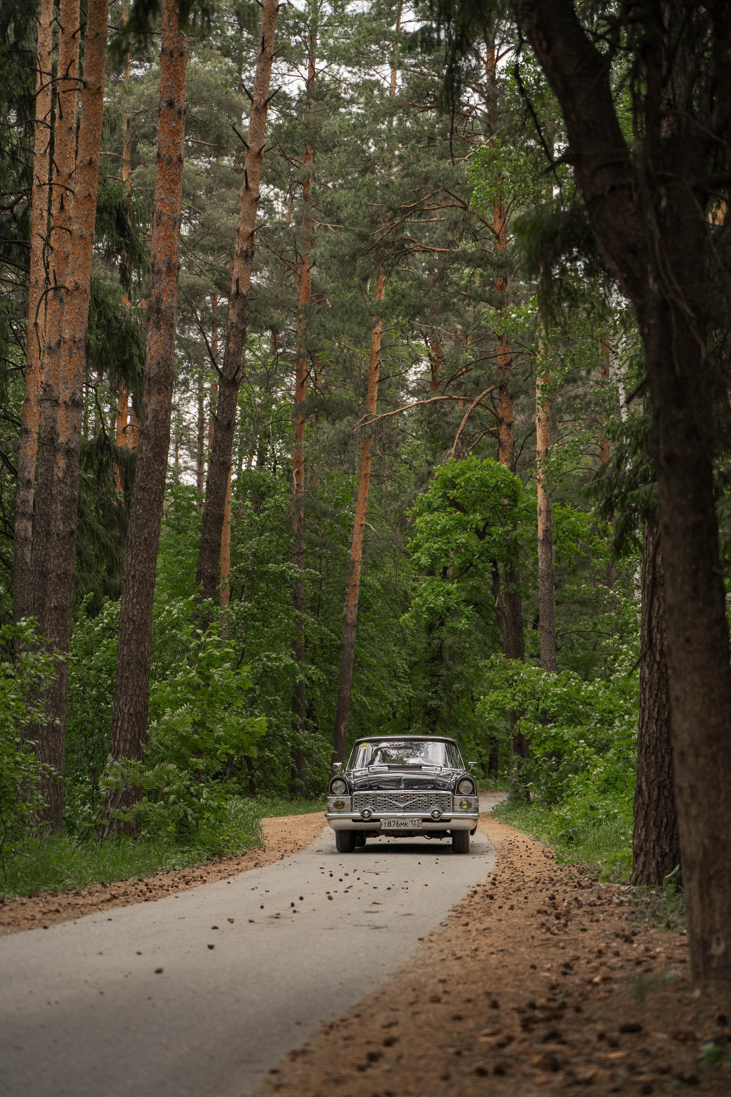 Инсаф & Лейля