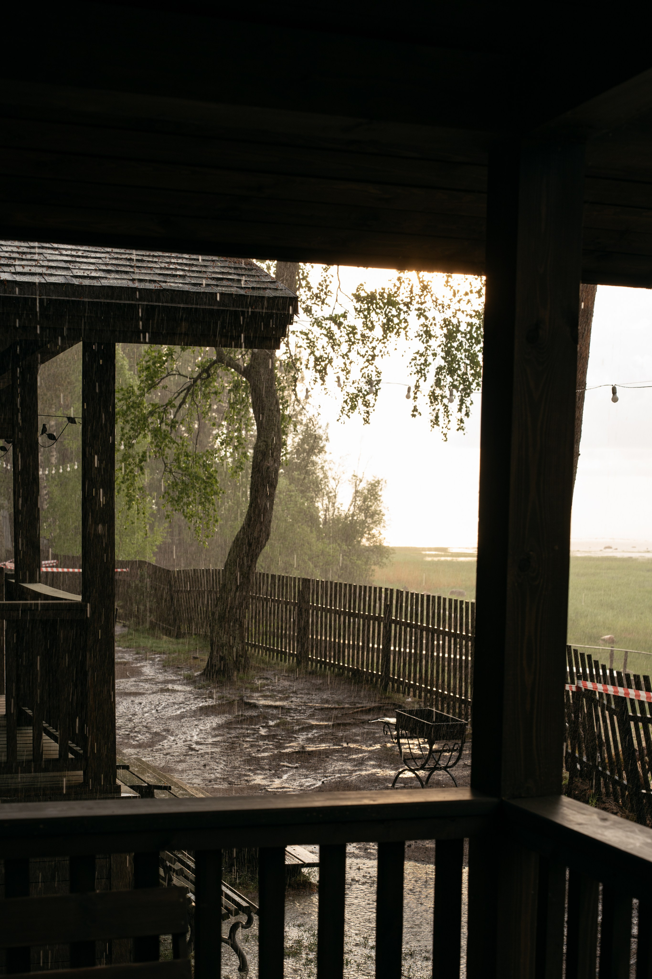 Янтарный берег. Фотограф Инесса Фокина