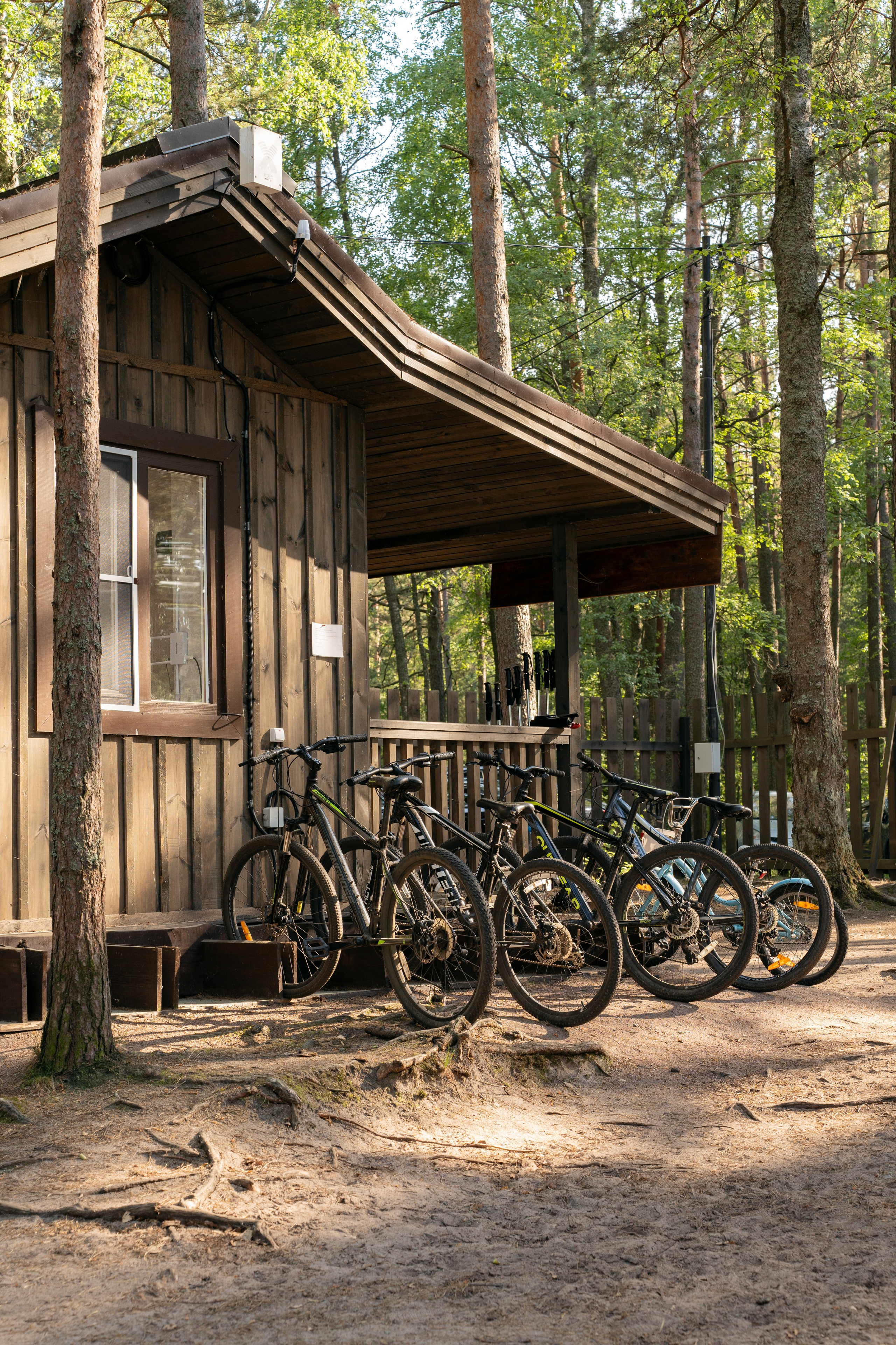 Янтарный берег. Фотограф Инесса Фокина