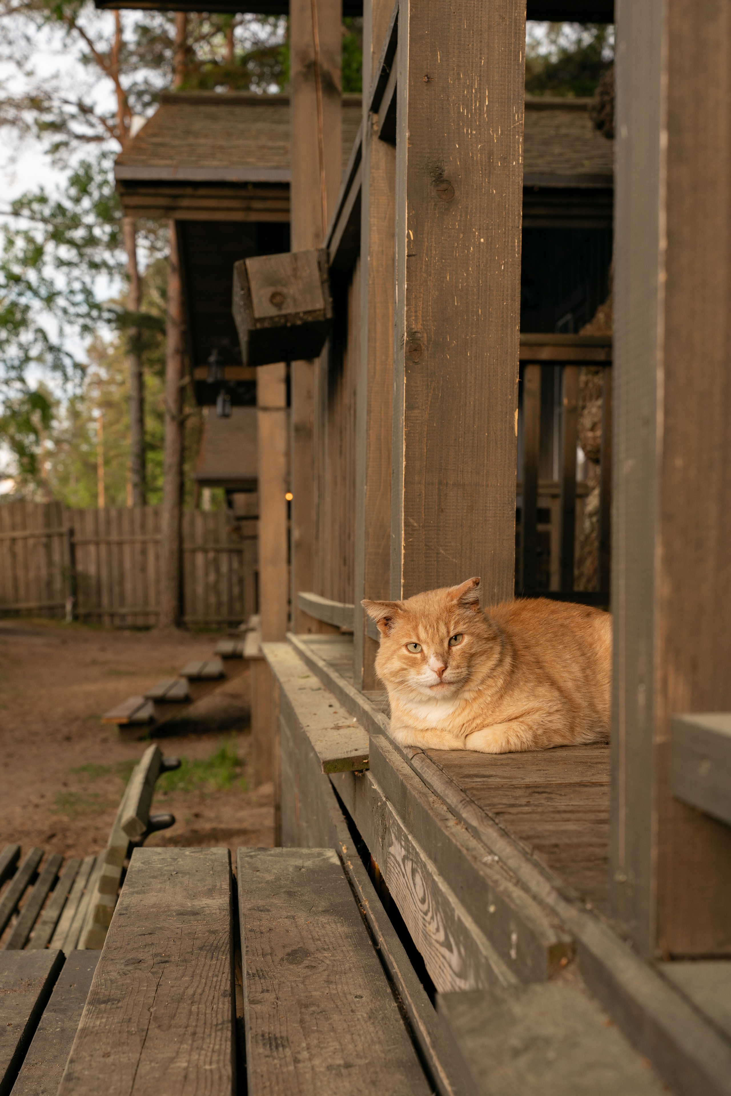 Янтарный берег. Фотограф Инесса Фокина