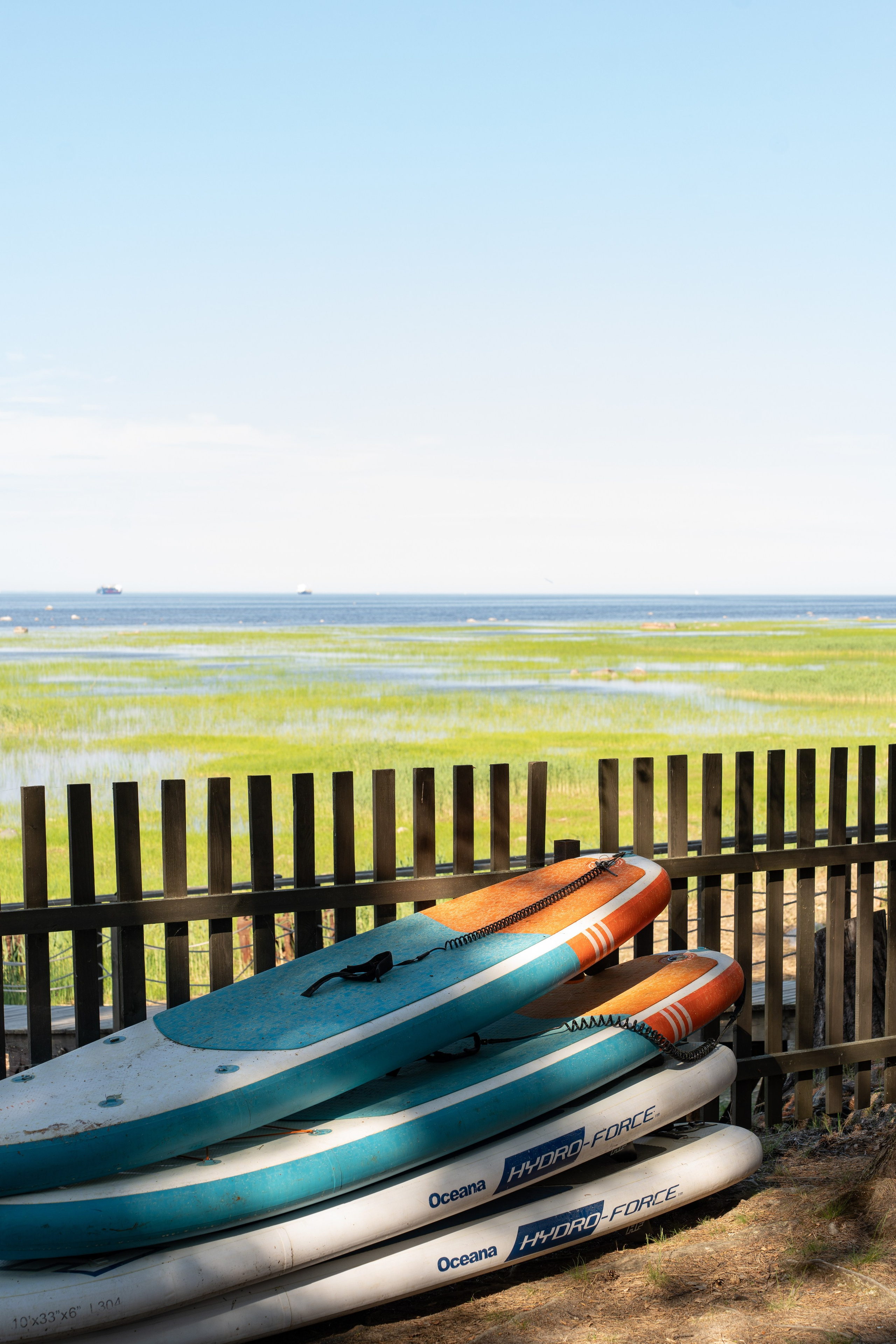 Янтарный берег. Фотограф Инесса Фокина