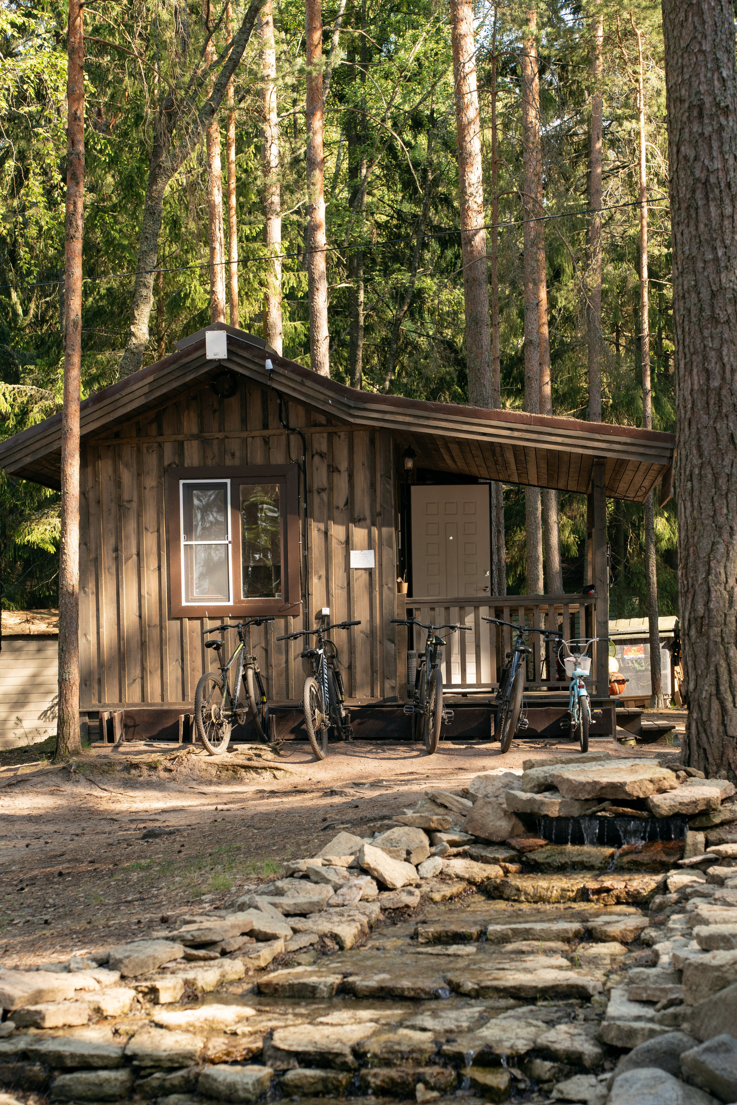 Янтарный берег. Фотограф Инесса Фокина