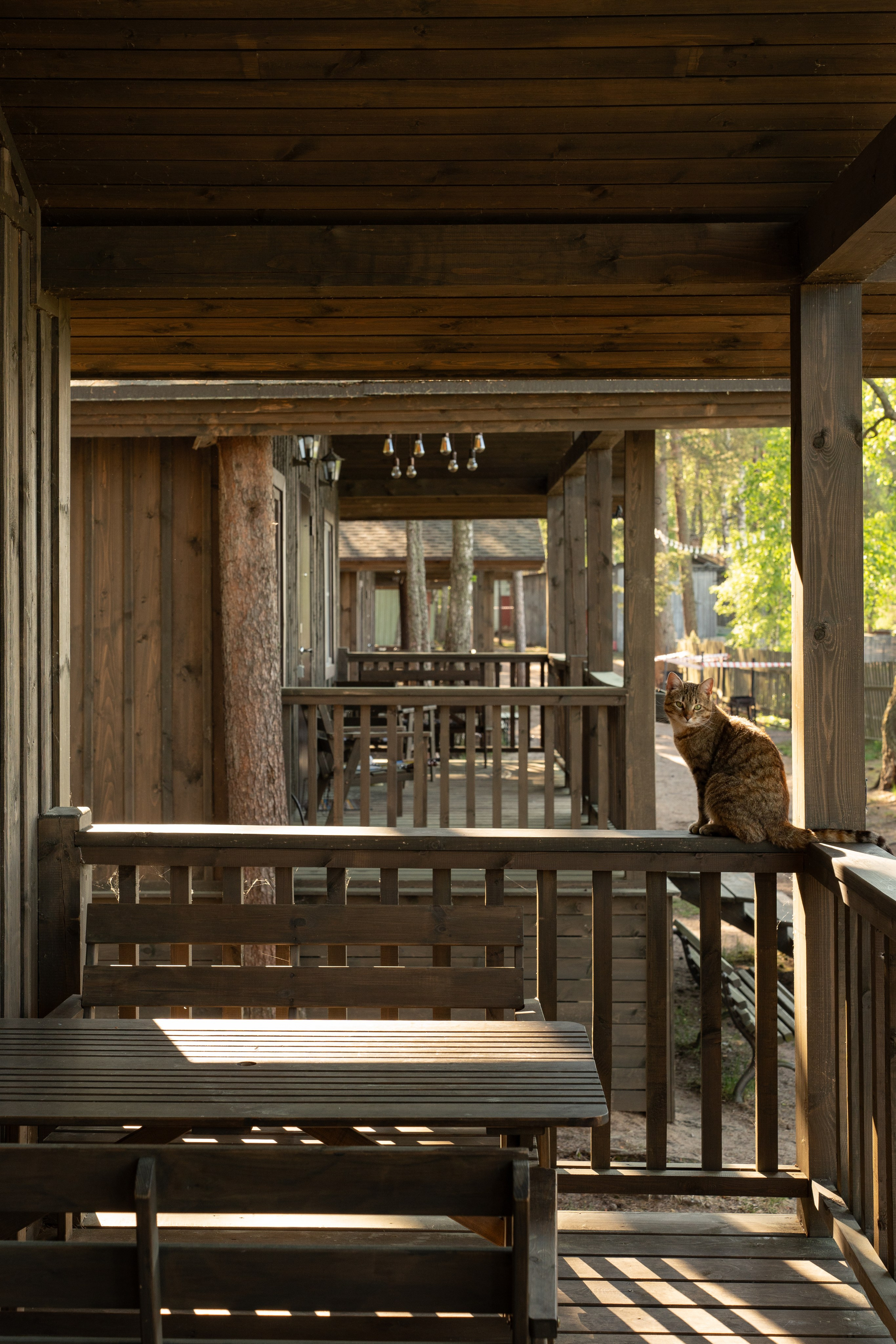 Янтарный берег. Фотограф Инесса Фокина