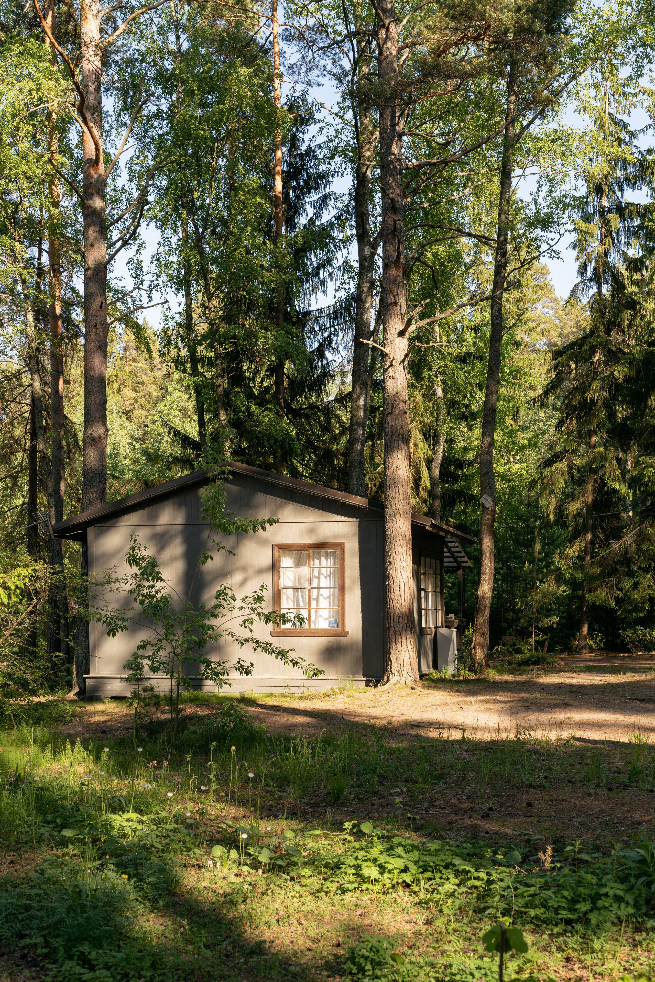 Янтарный берег. Фотограф Инесса Фокина