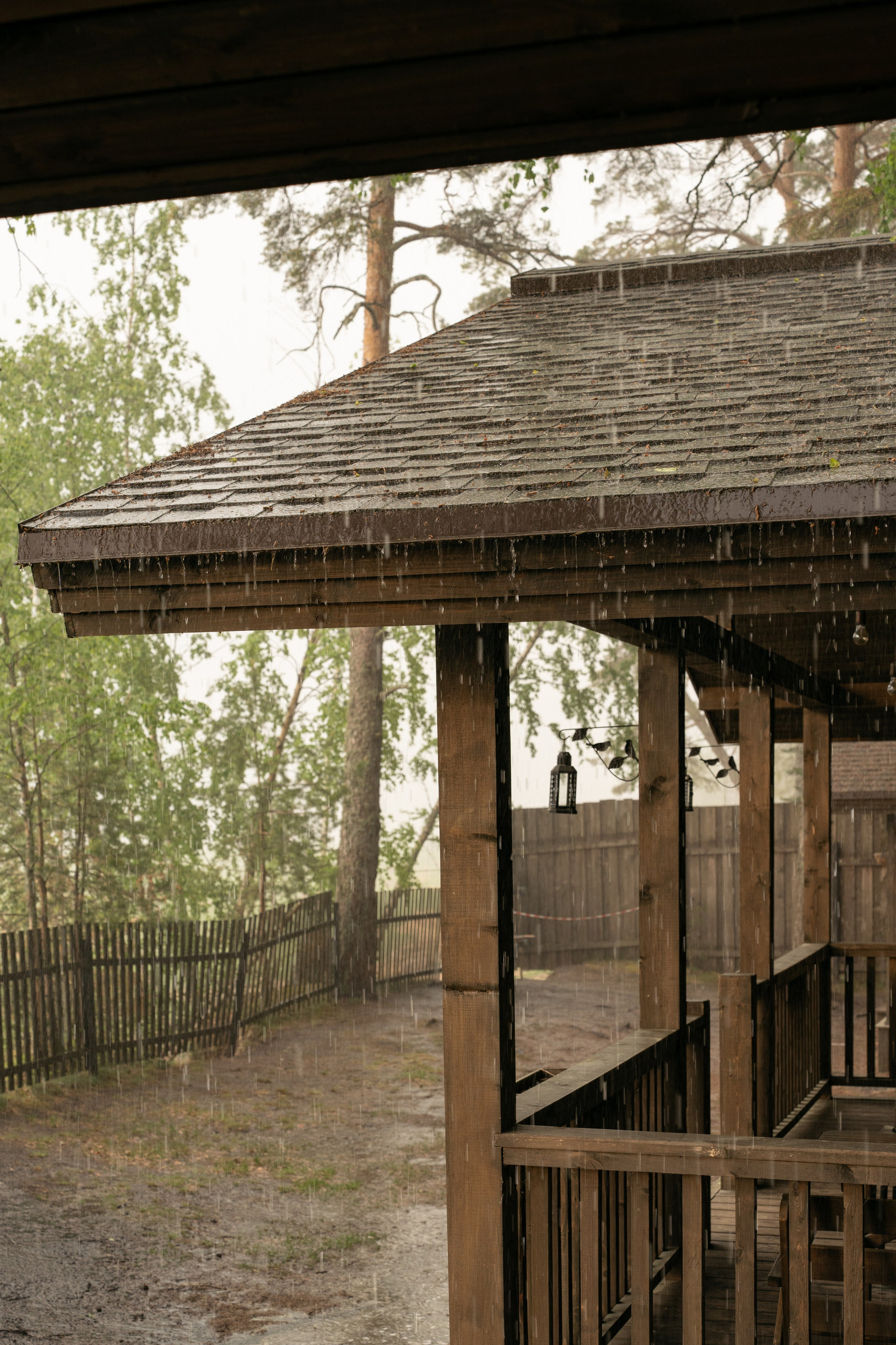 Янтарный берег. Фотограф Инесса Фокина