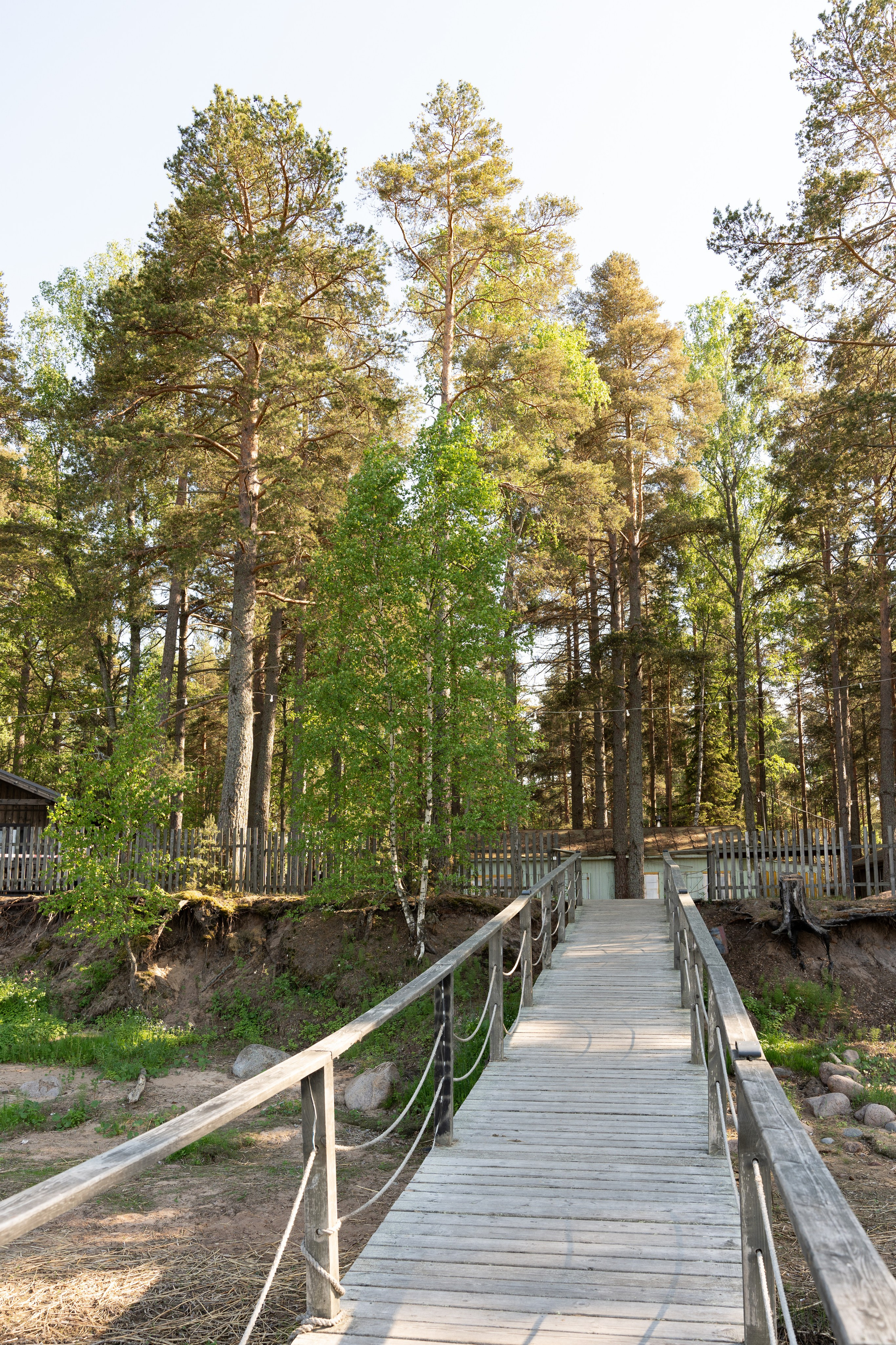 Янтарный берег. Фотограф Инесса Фокина