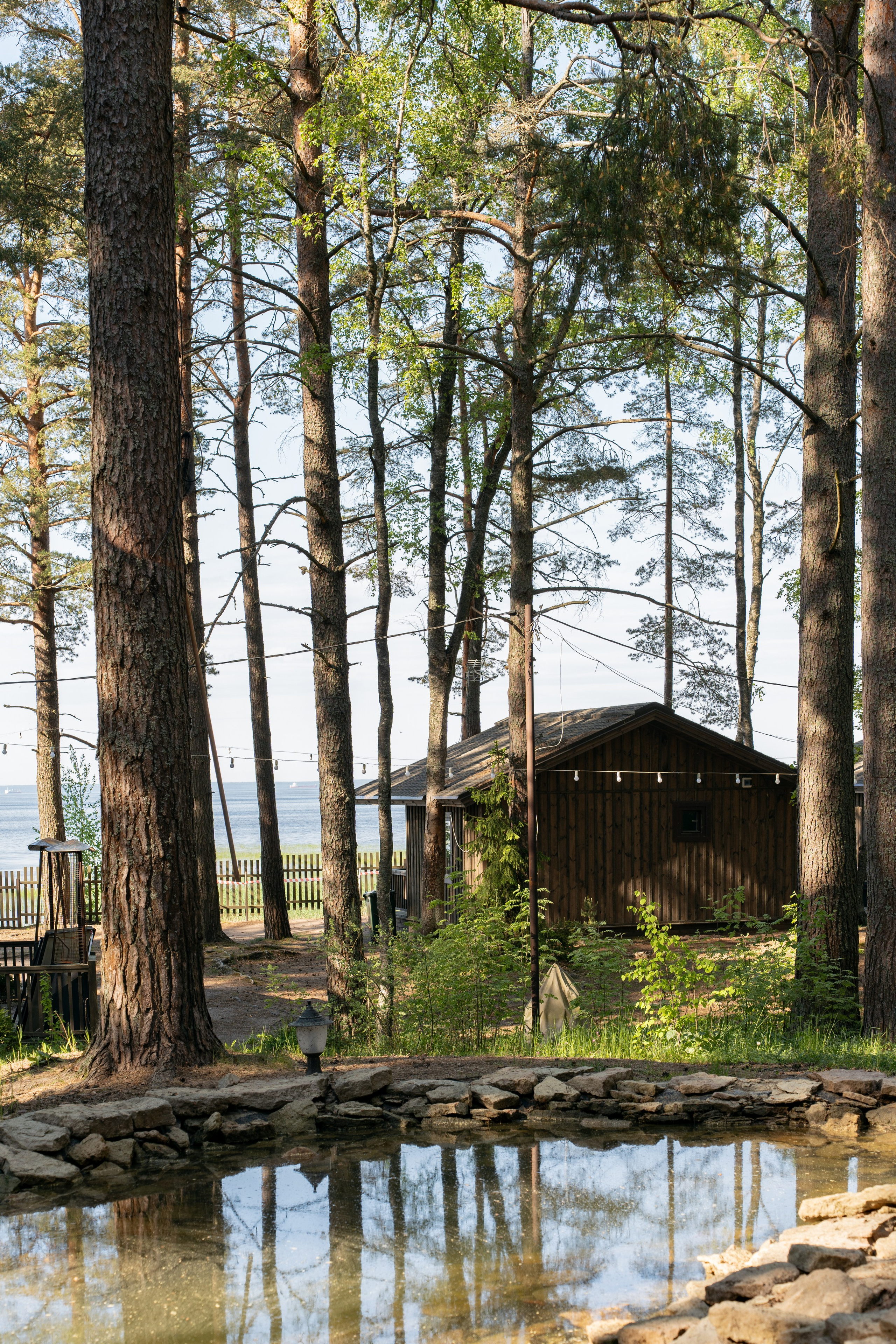 Янтарный берег. Фотограф Инесса Фокина