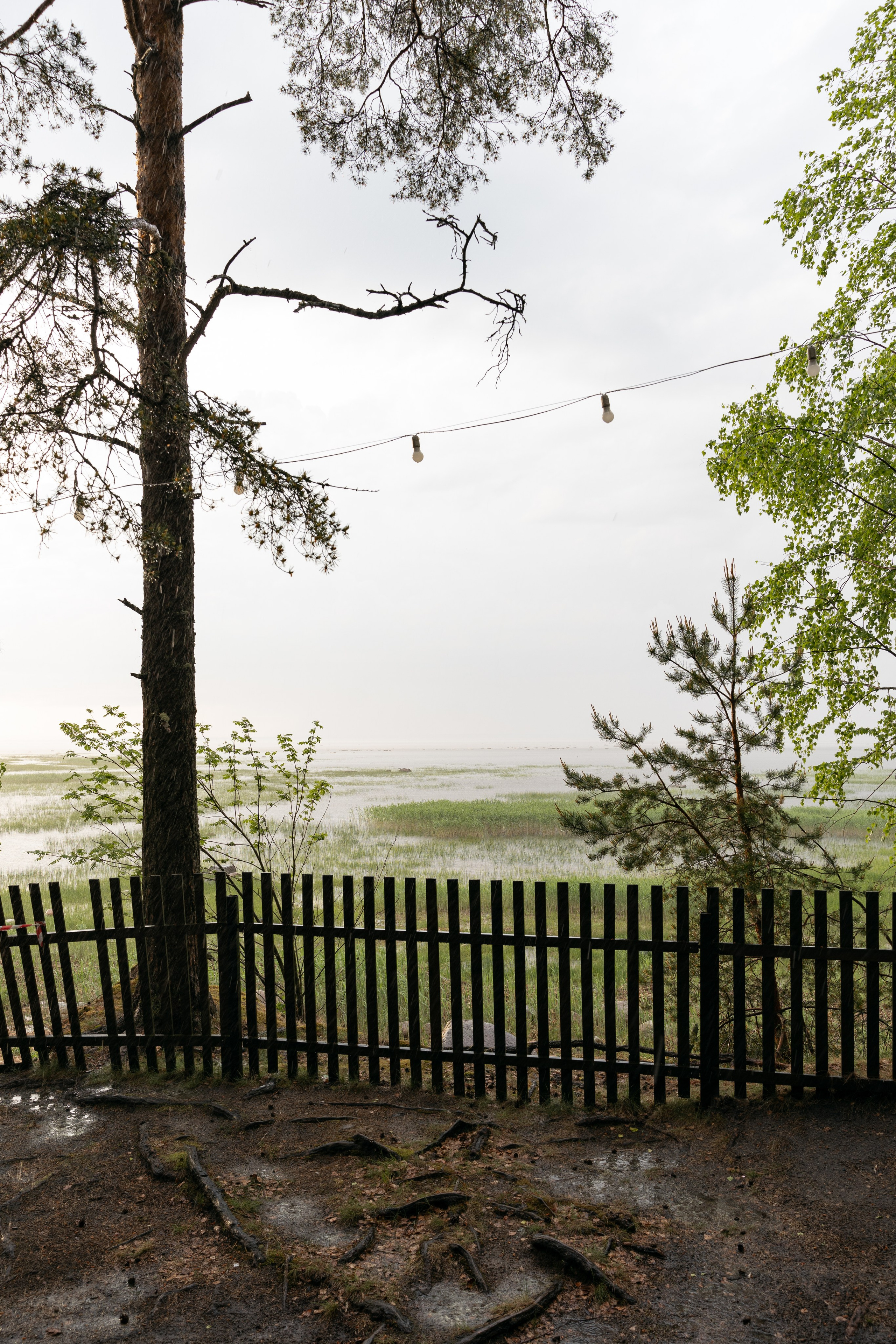 Янтарный берег. Фотограф Инесса Фокина