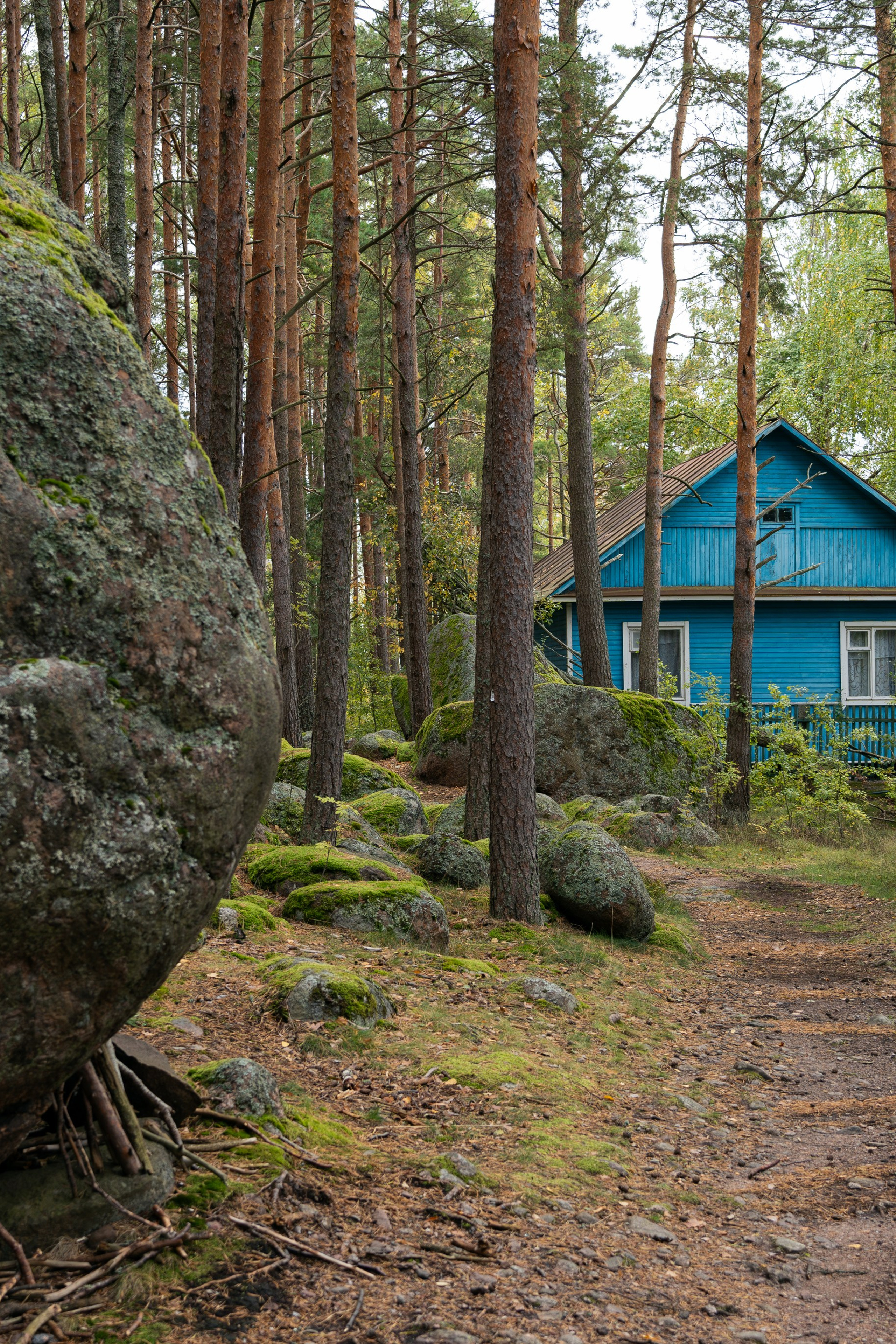 Бьерк. Фотограф Инесса Фокина