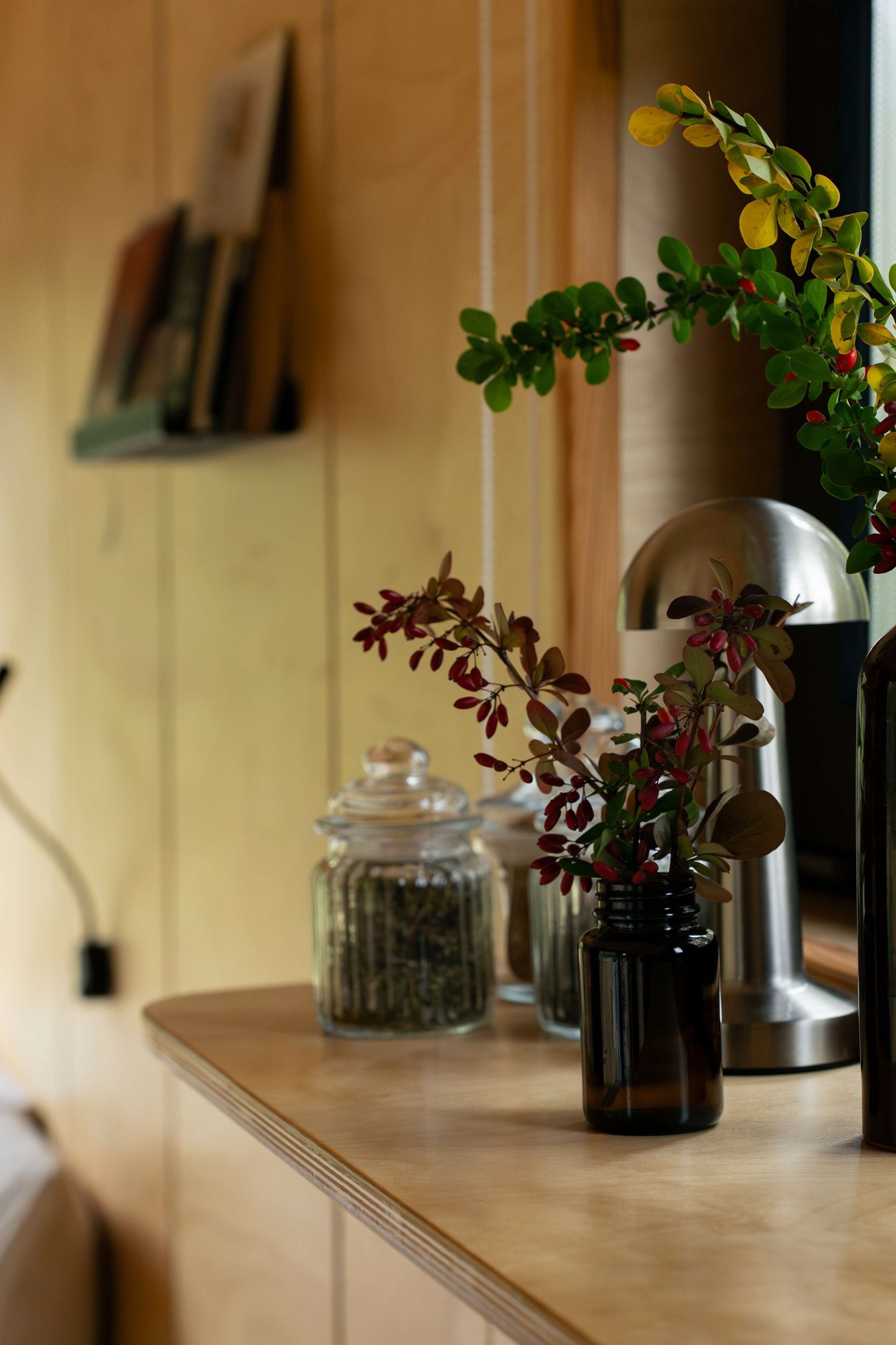 Бьерк. Фотограф Инесса Фокина