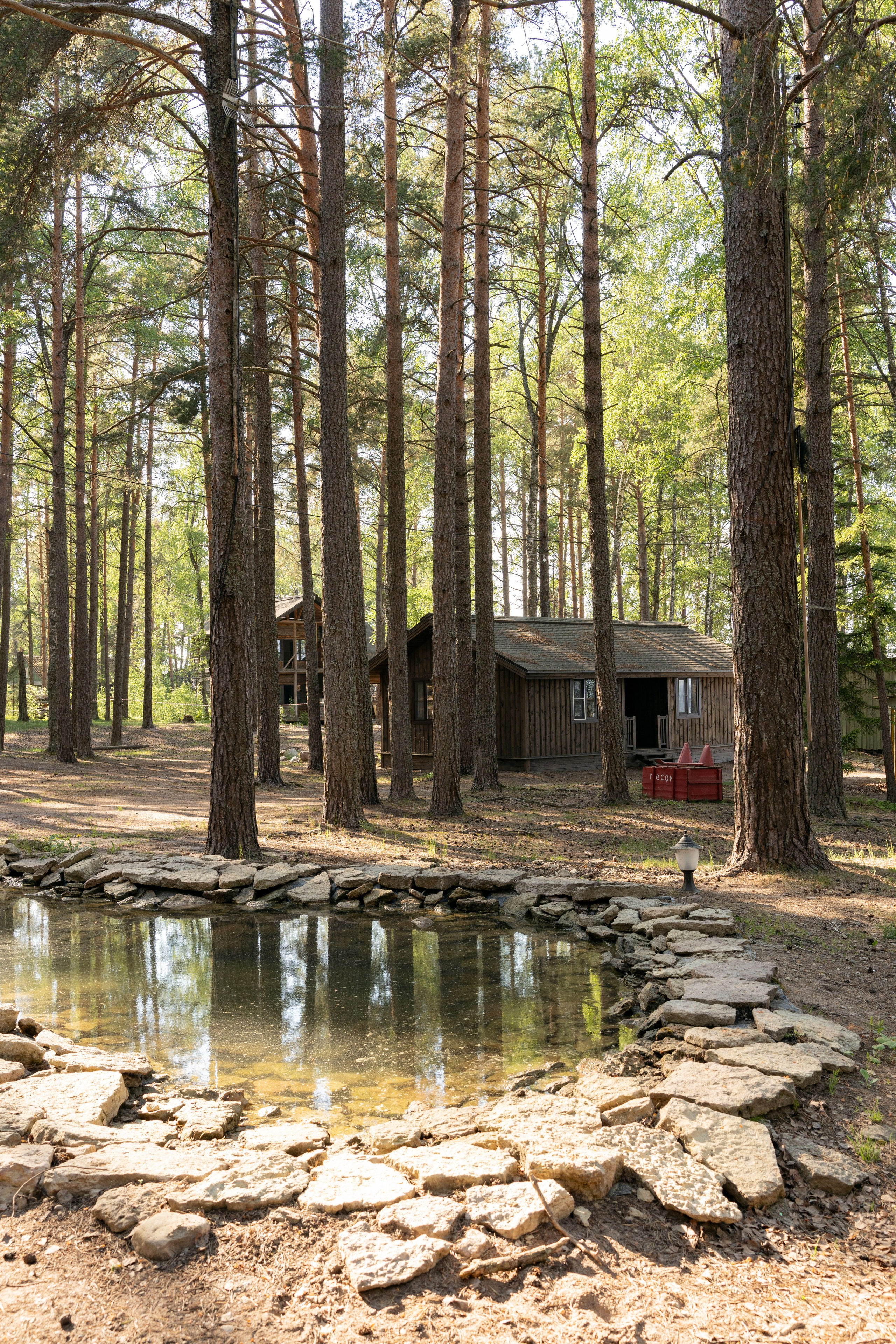 Янтарный берег. Фотограф Инесса Фокина
